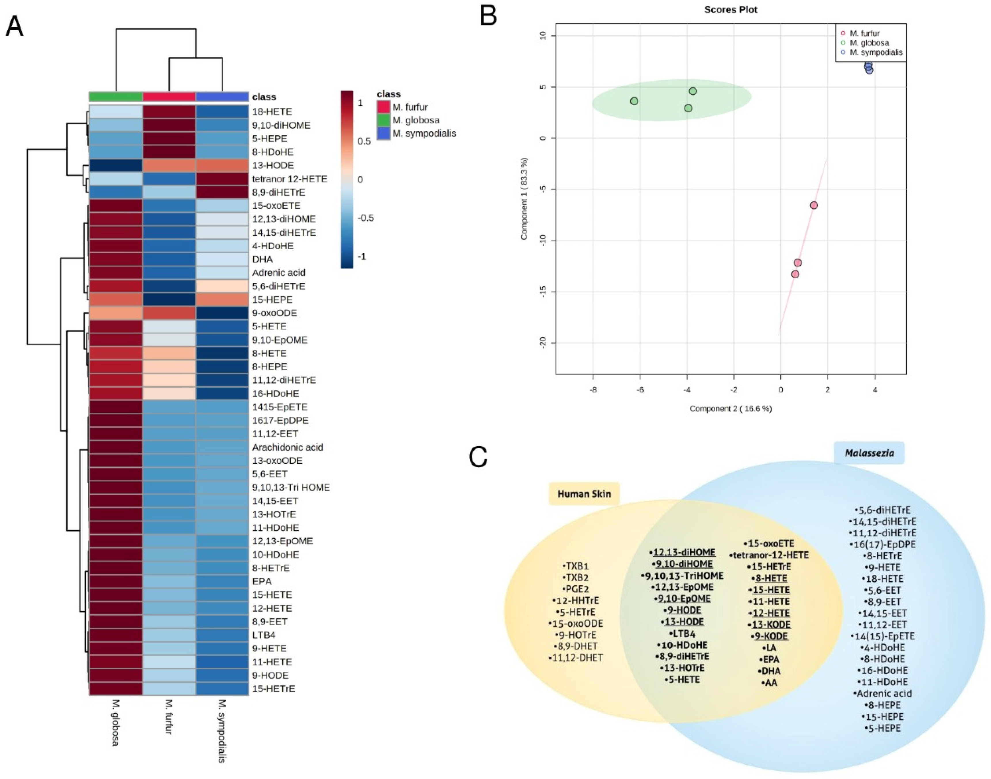 Metabolites 11 00700 g004 550