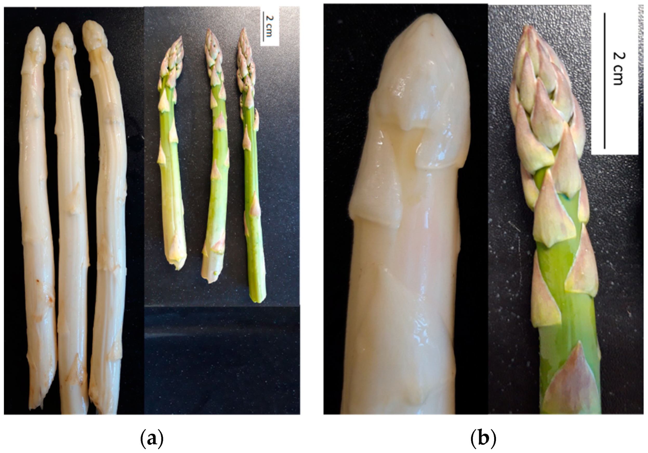 Metabolites 11 00708 g001
