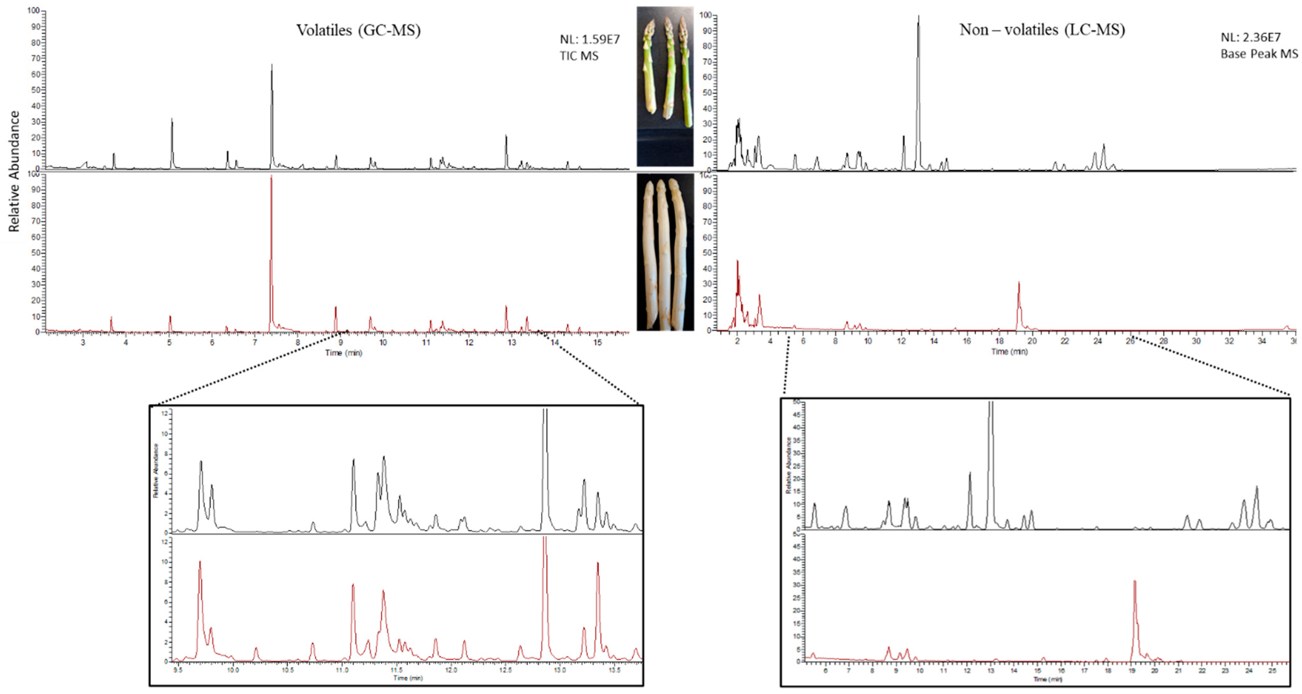 Metabolites 11 00708 g002