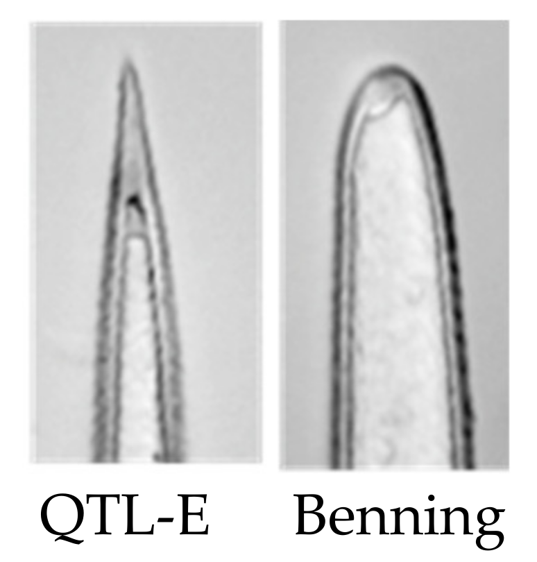 Metabolites 11 00710 g004