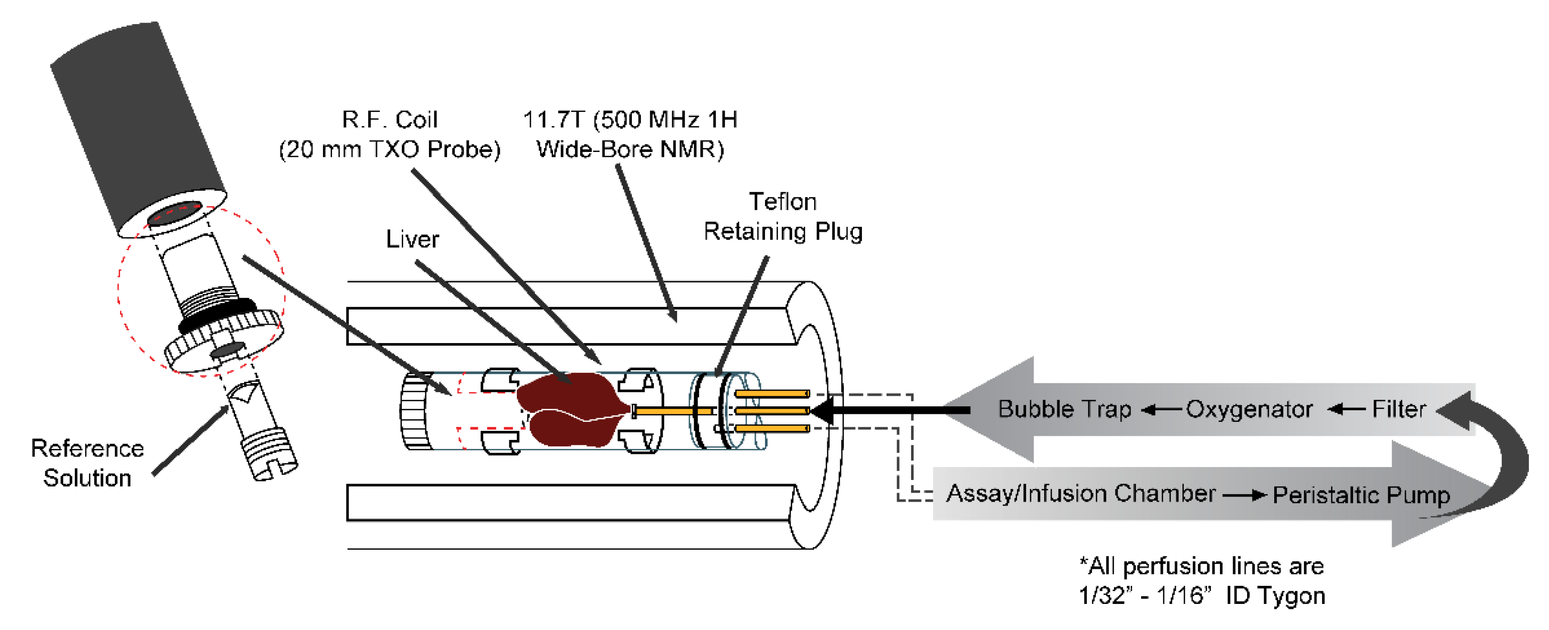 Metabolites 11 00712 g001