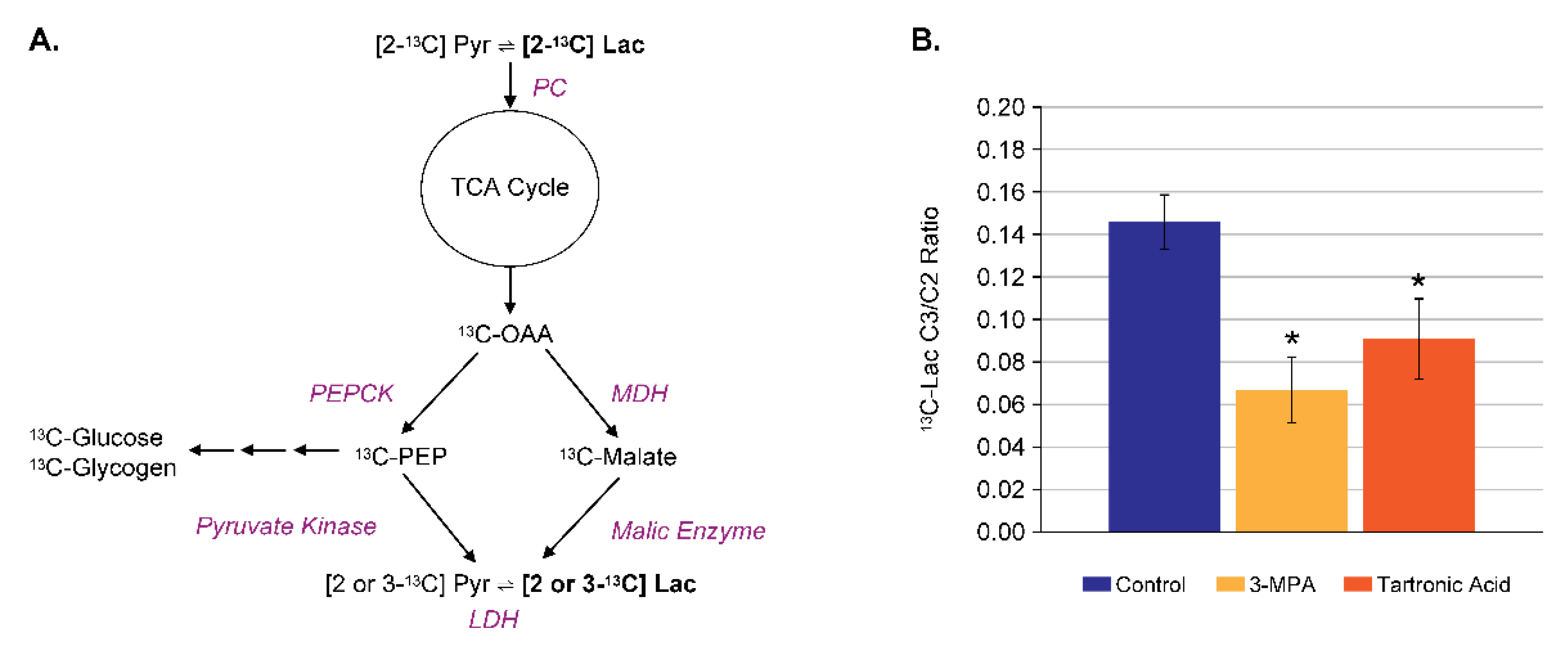 Metabolites 11 00712 g008