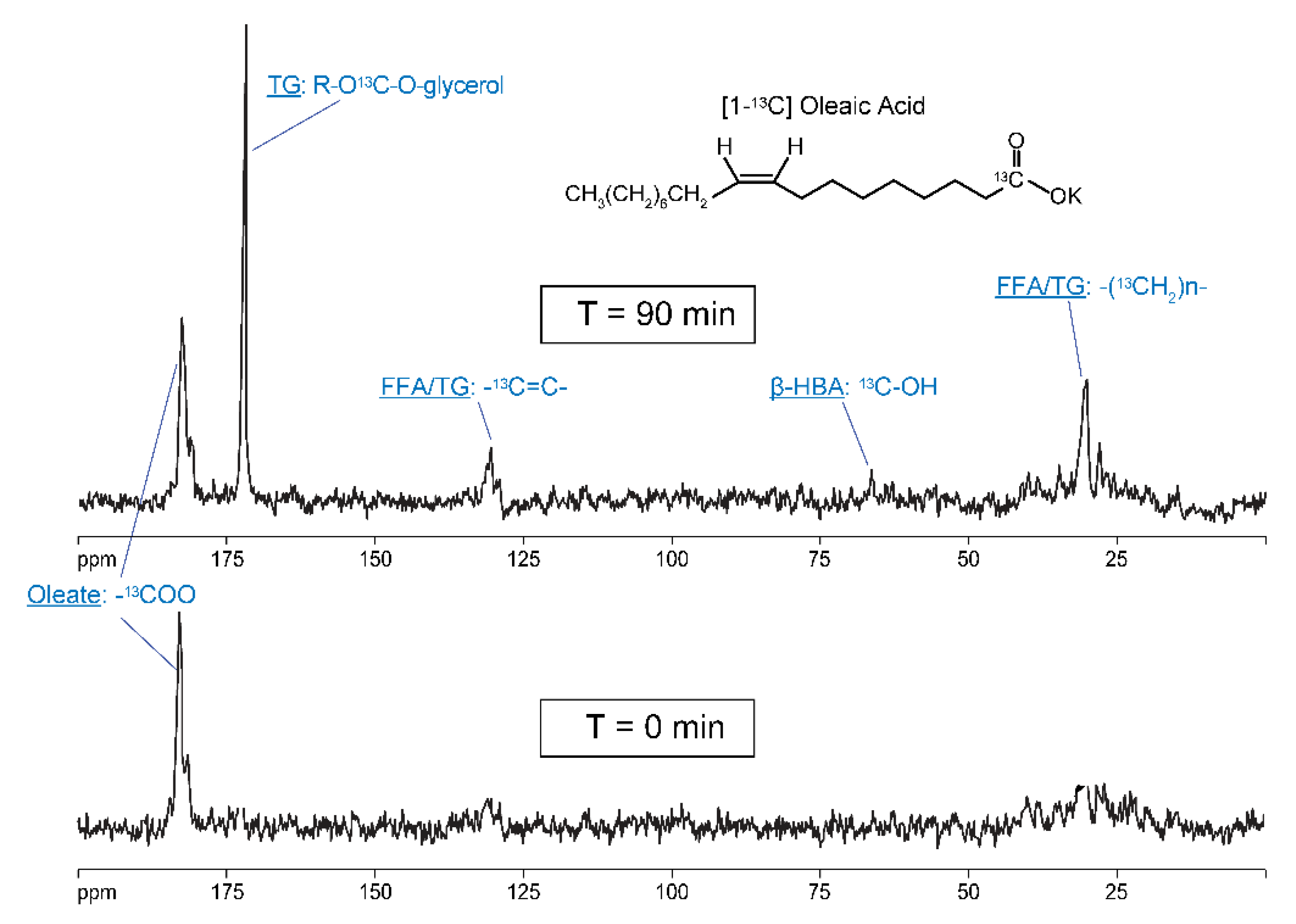 Metabolites 11 00712 g010