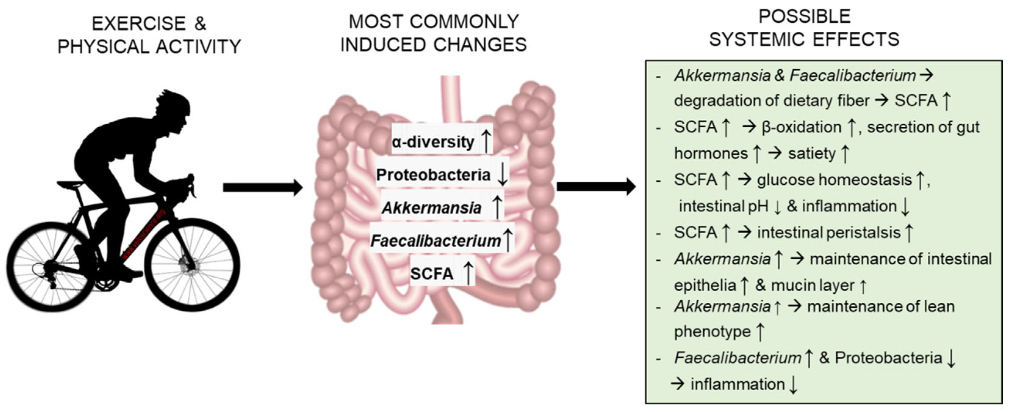 Metabolites 11 00716 g002