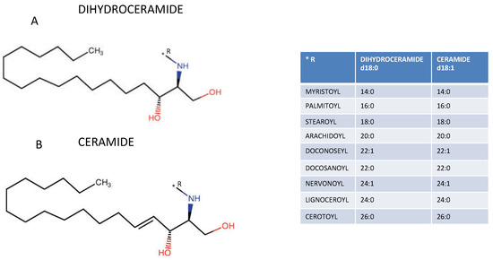 Plasma Ceramides Pathophysiology, Measurements, Challenges