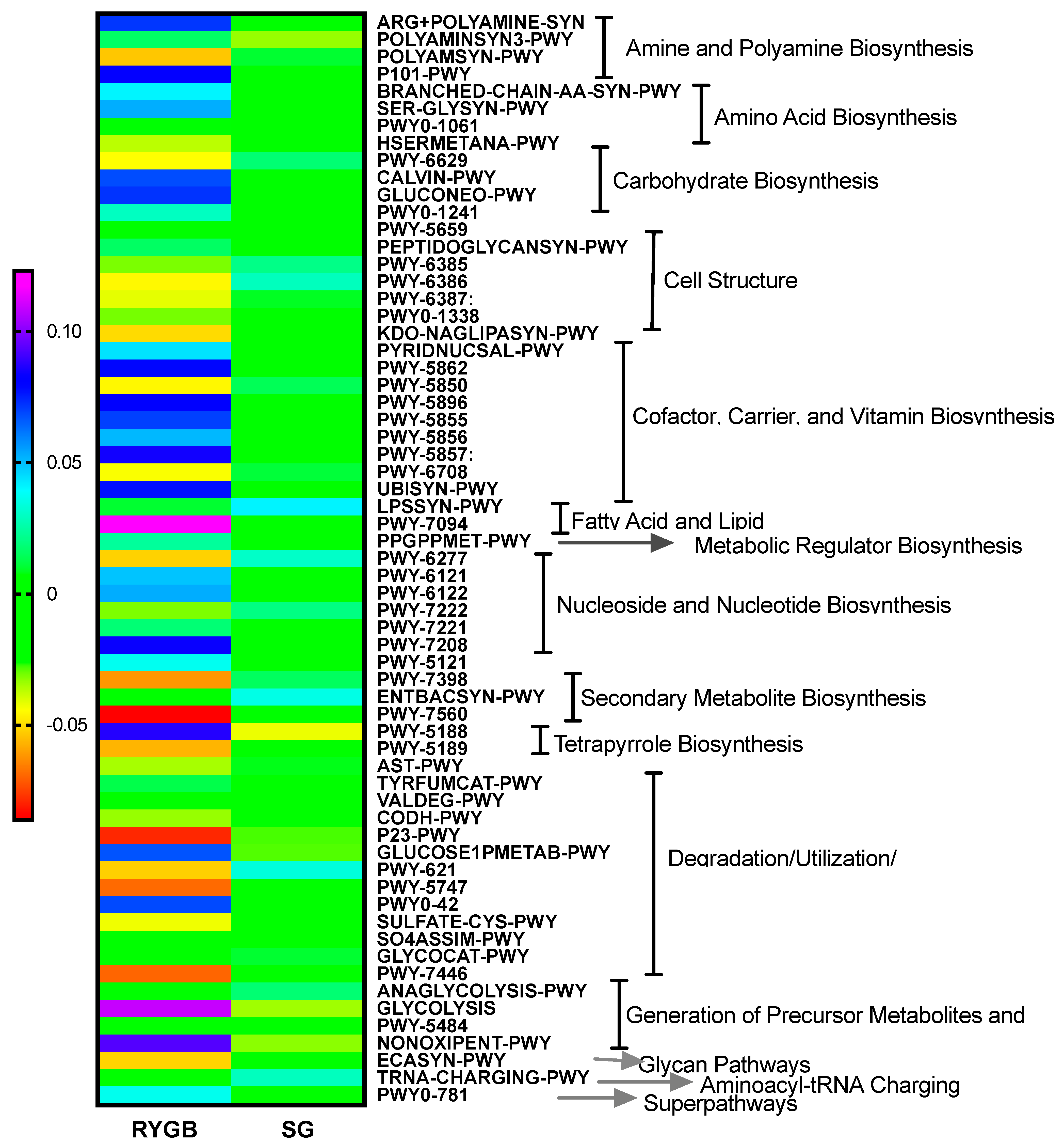 Metabolites 11 00733 g004
