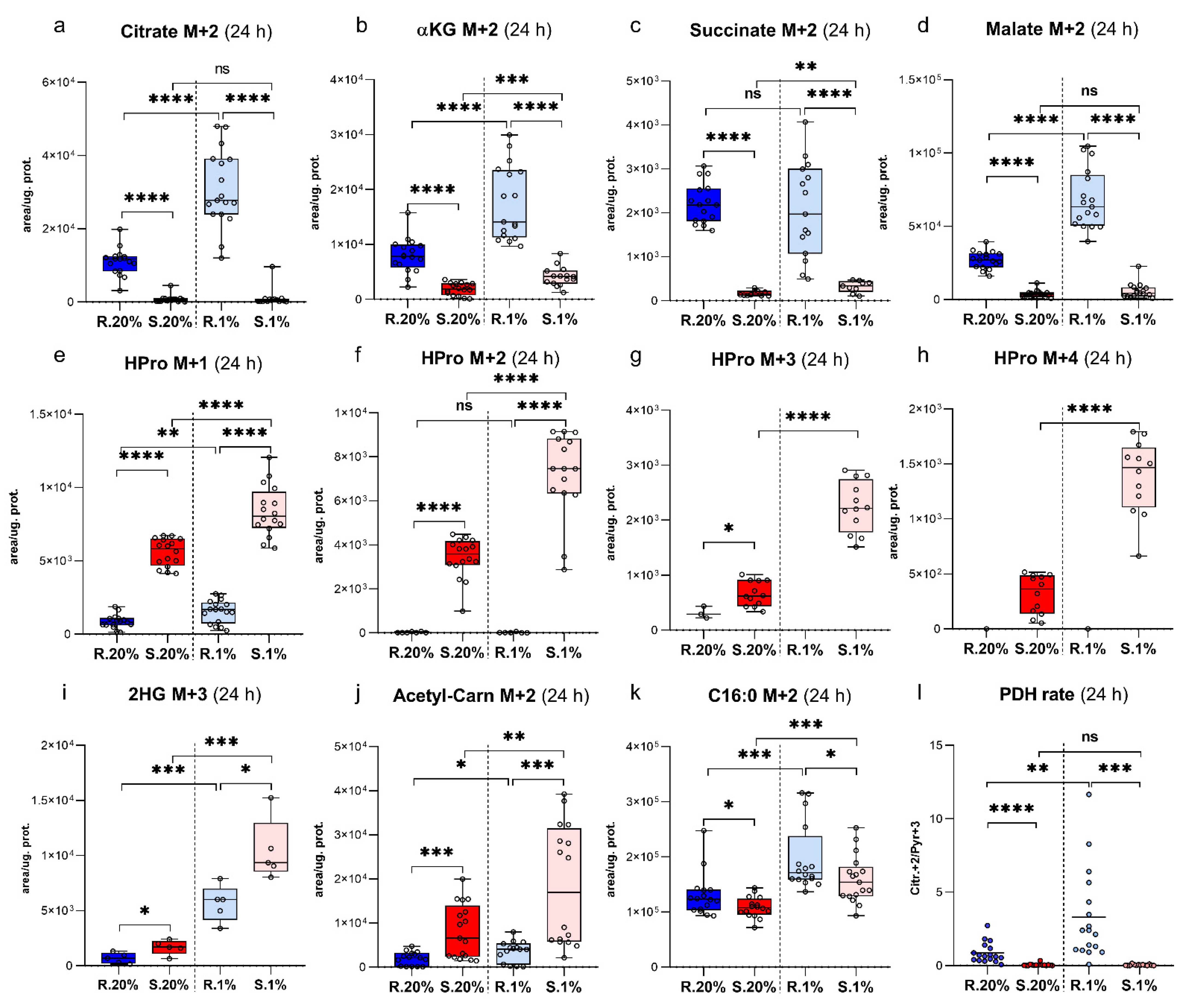 Metabolites 11 00734 g003