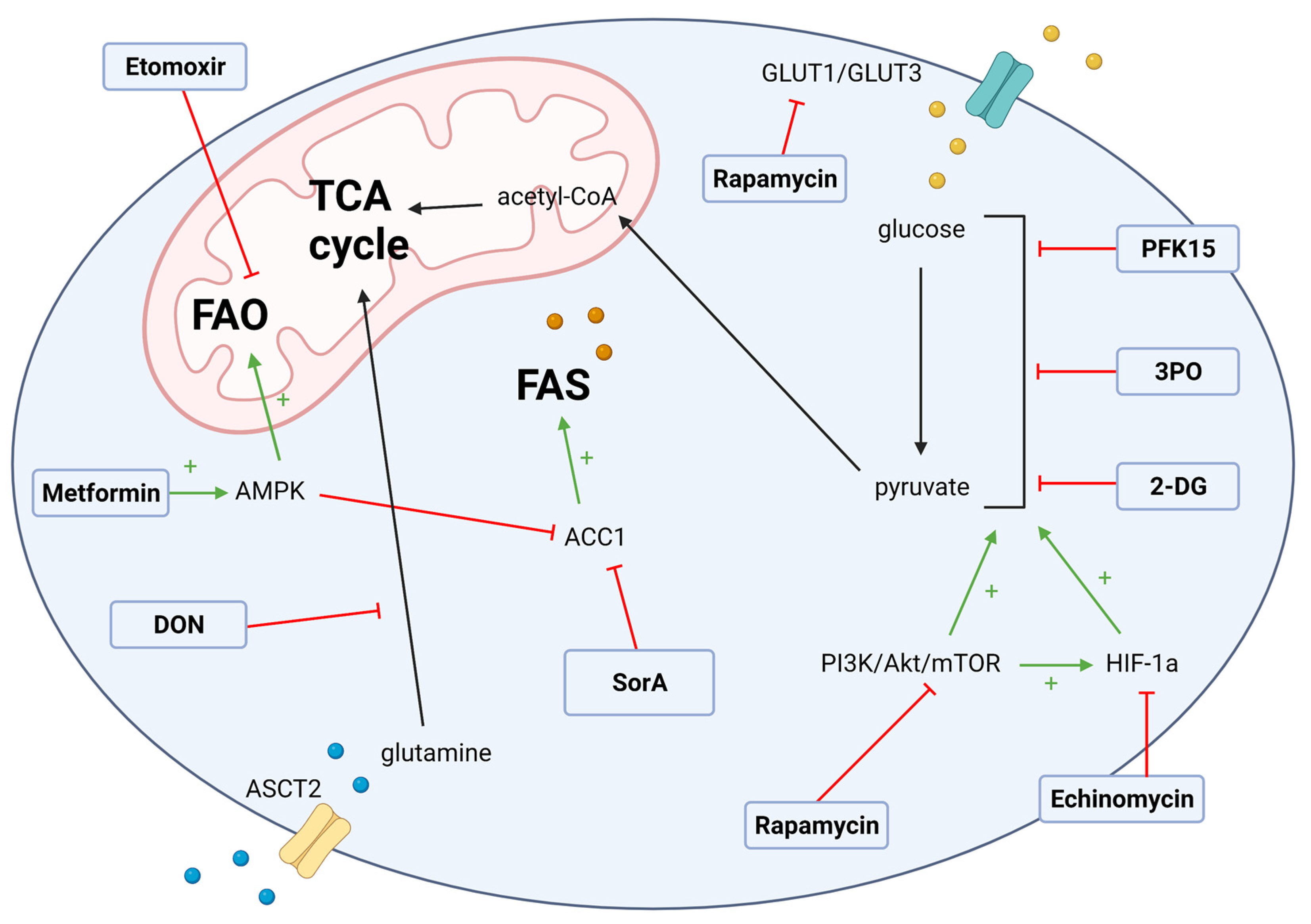 Metabolites 11 00736 g001 Metabolites 11 00736 g001