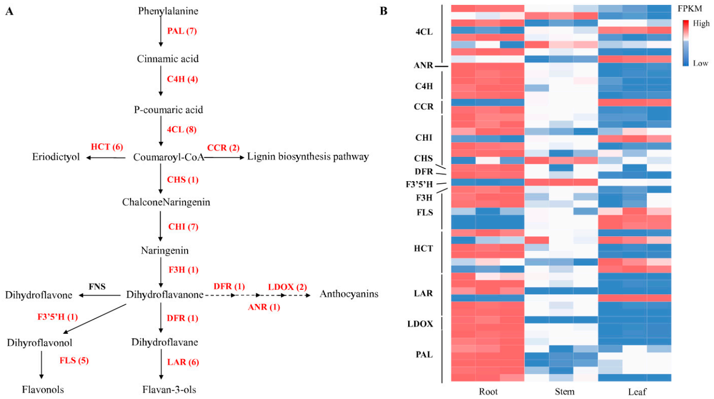 Metabolites 11 00741 g004 Metabolites 11 00741 g004
