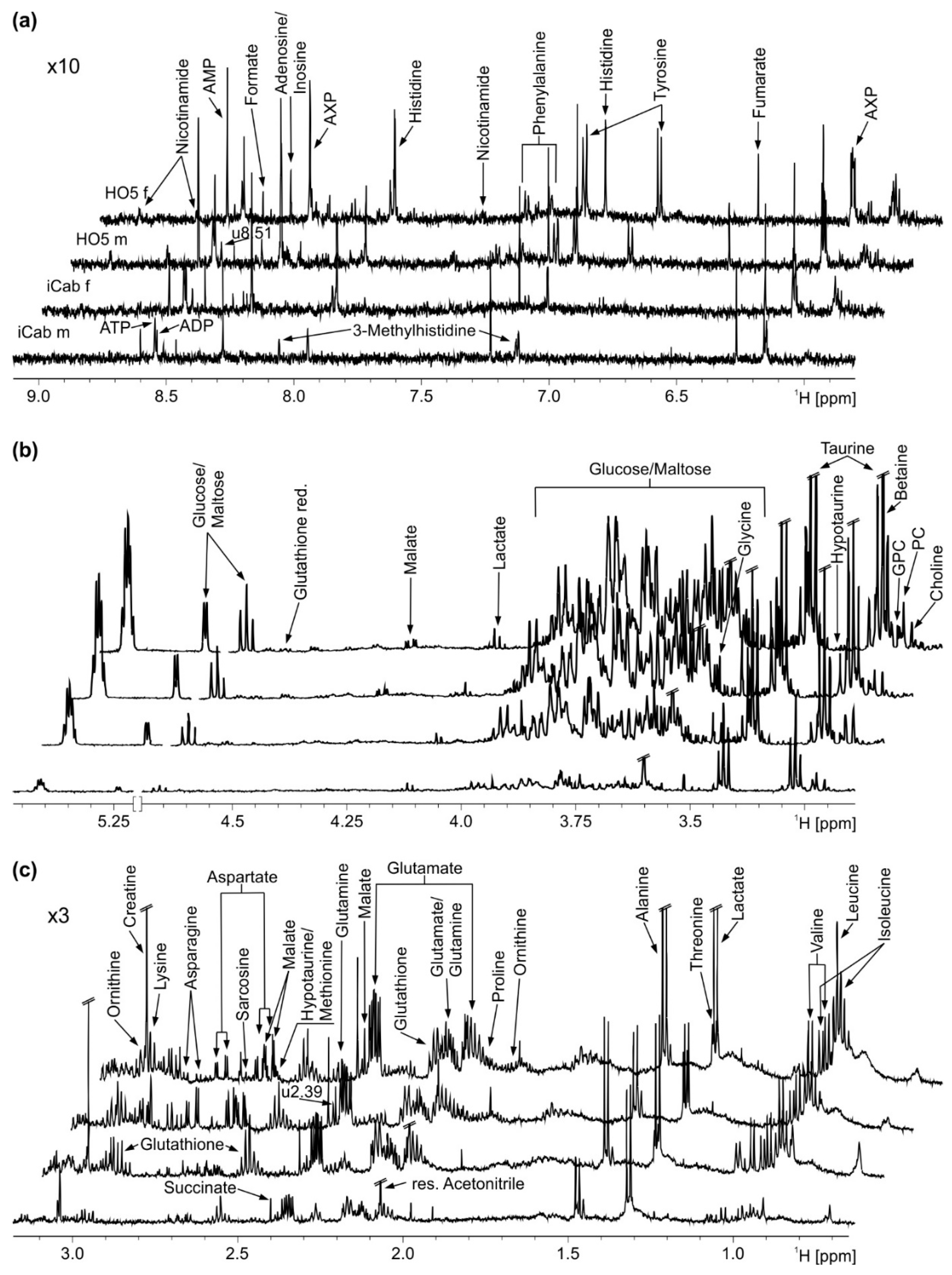 Metabolites 11 00744 g001