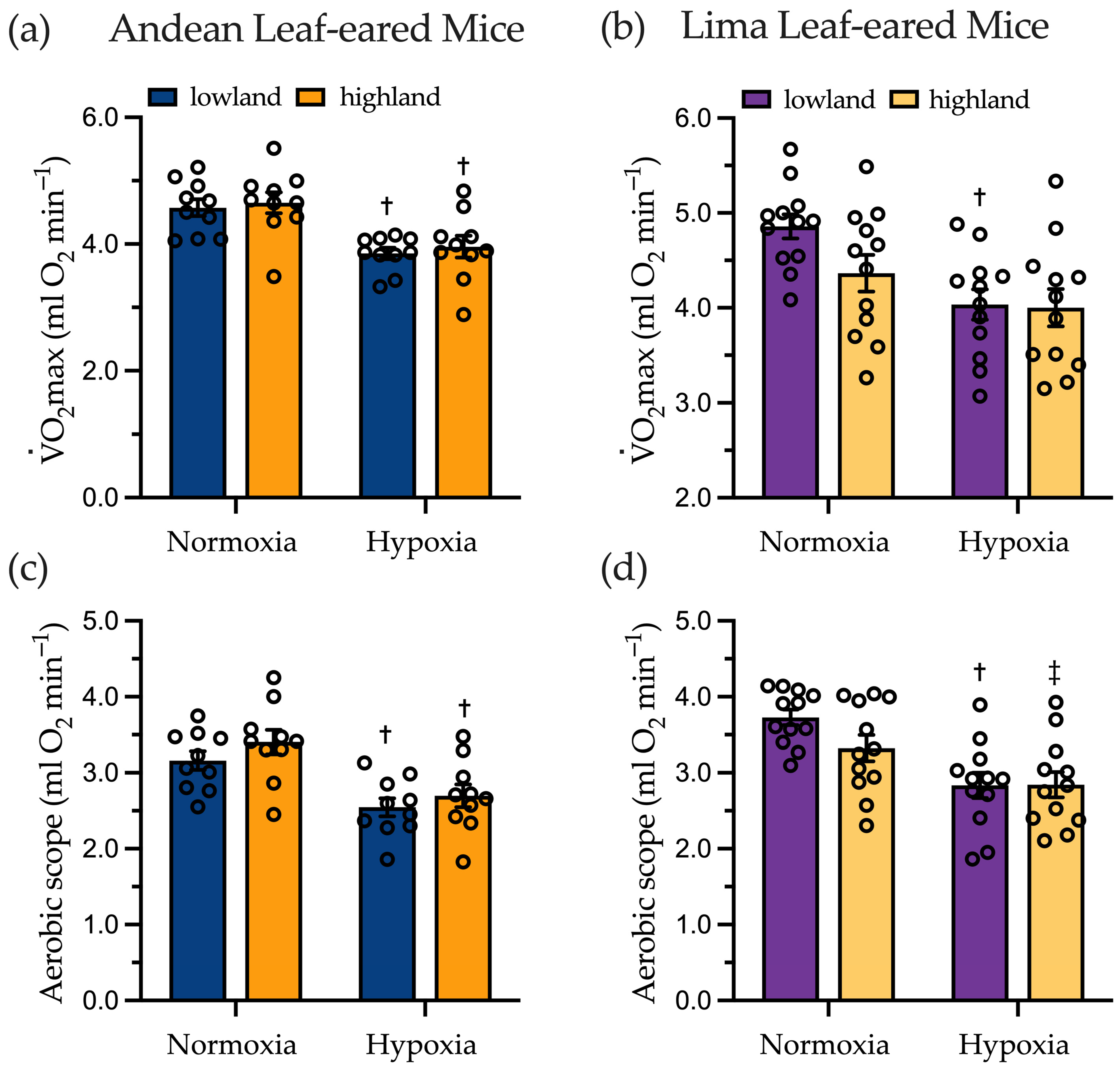 Metabolites 11 00750 g001