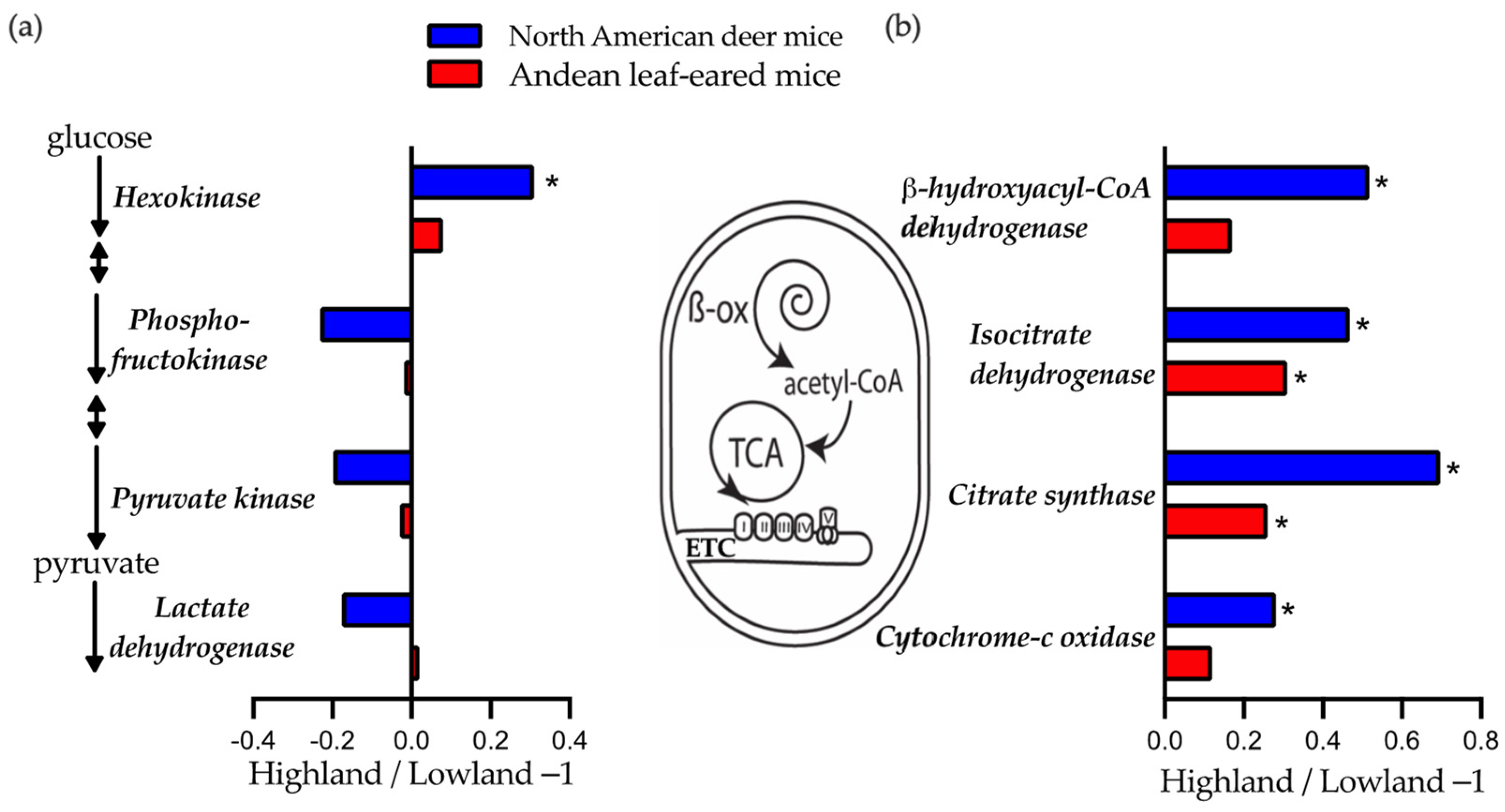 Metabolites 11 00750 g003