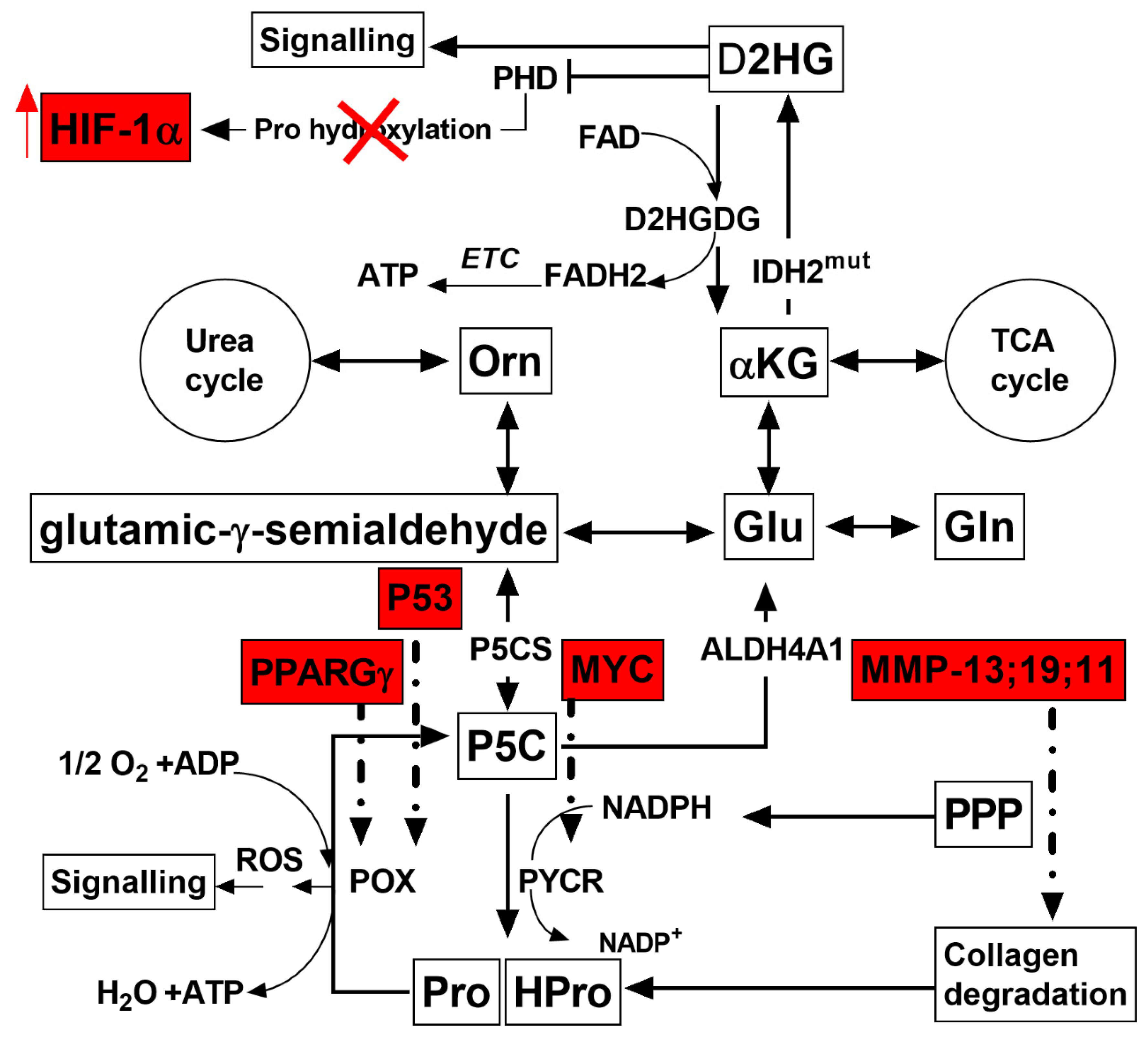 Metabolites 11 00755 g004