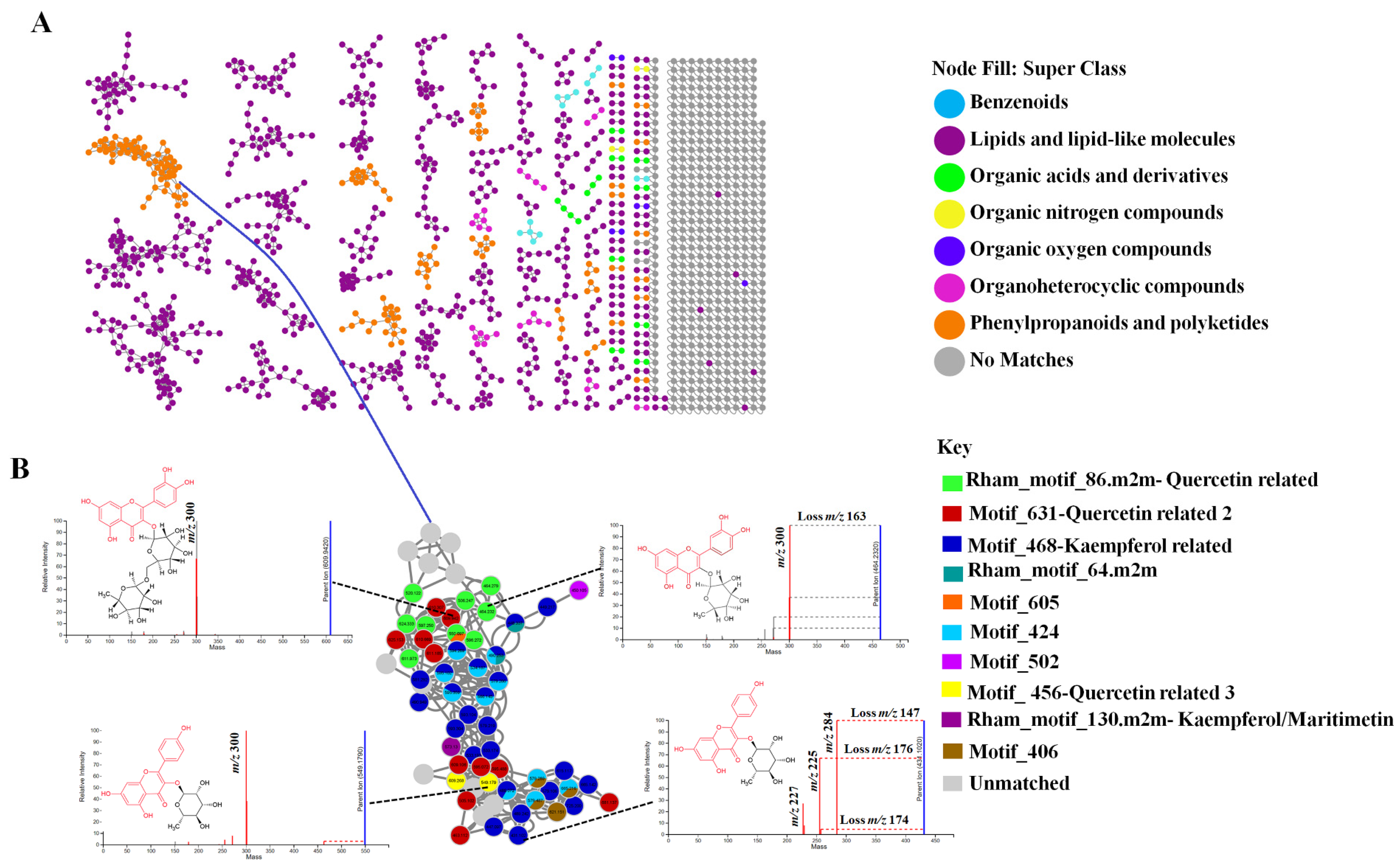 Metabolites 11 00763 g002 Metabolites 11 00763 g002