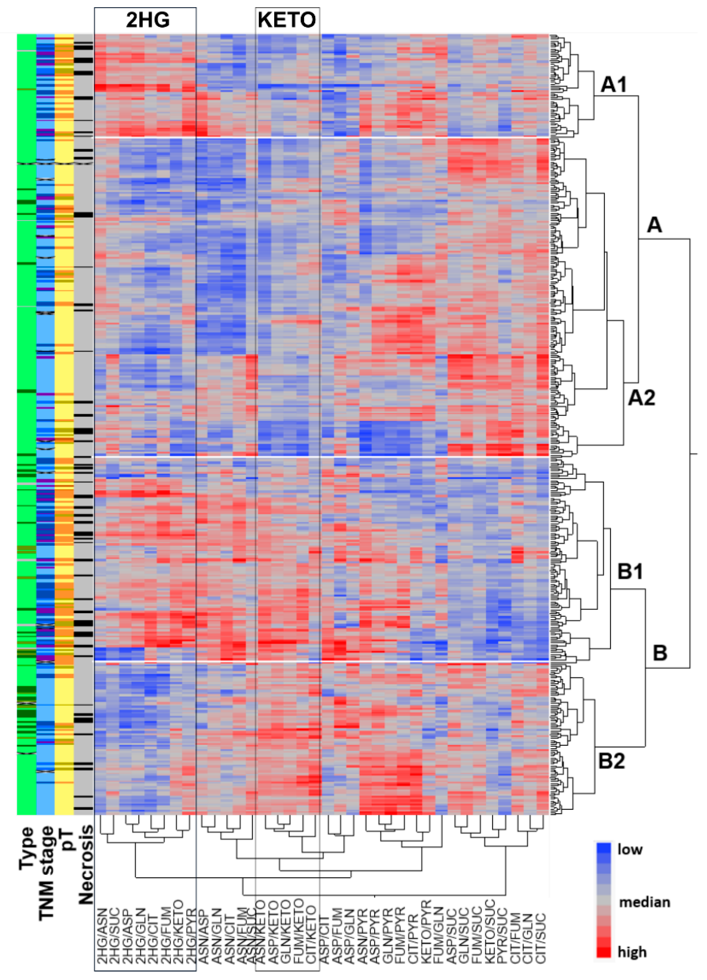 Metabolites 11 00764 g001