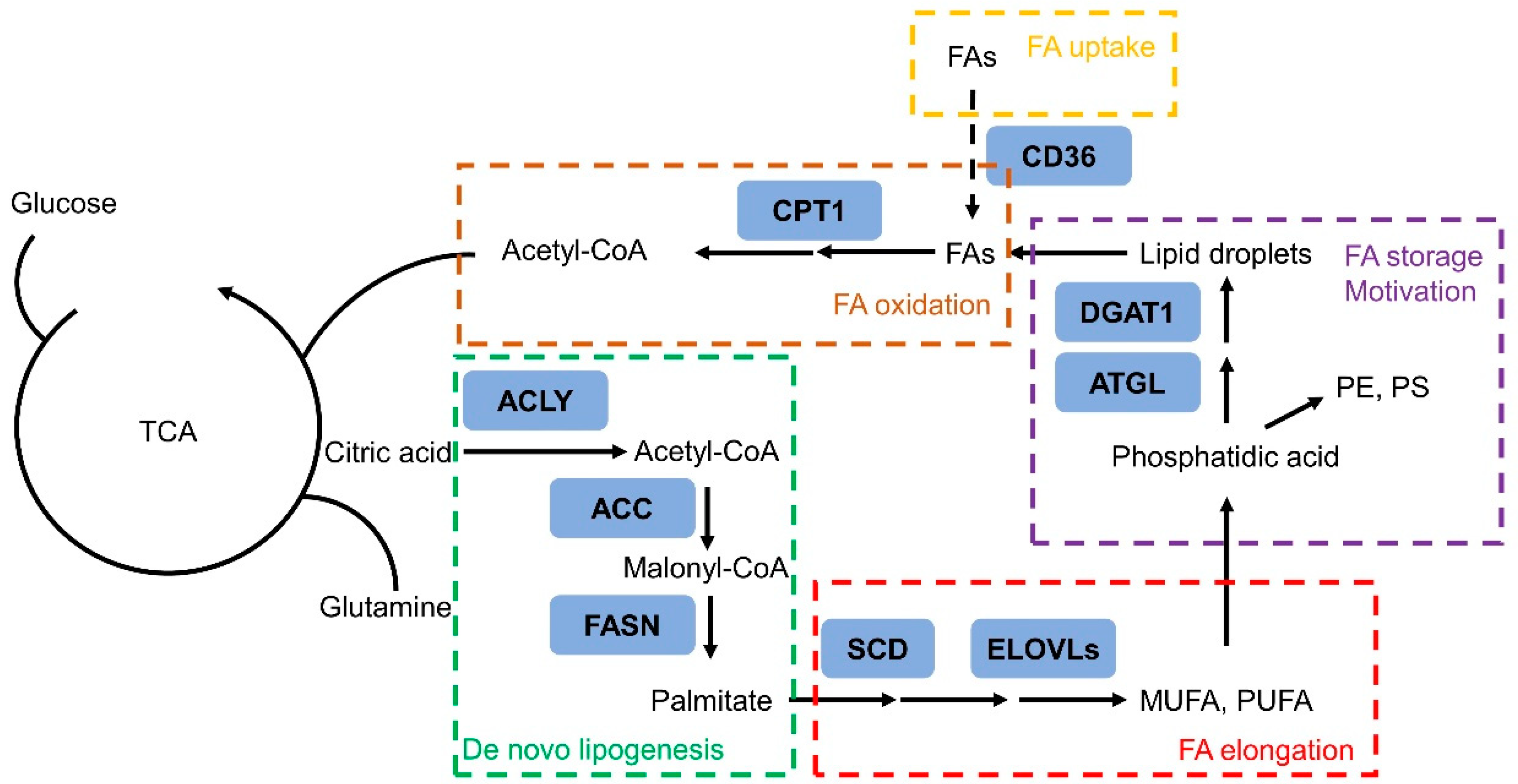 Metabolites 11 00765 g002