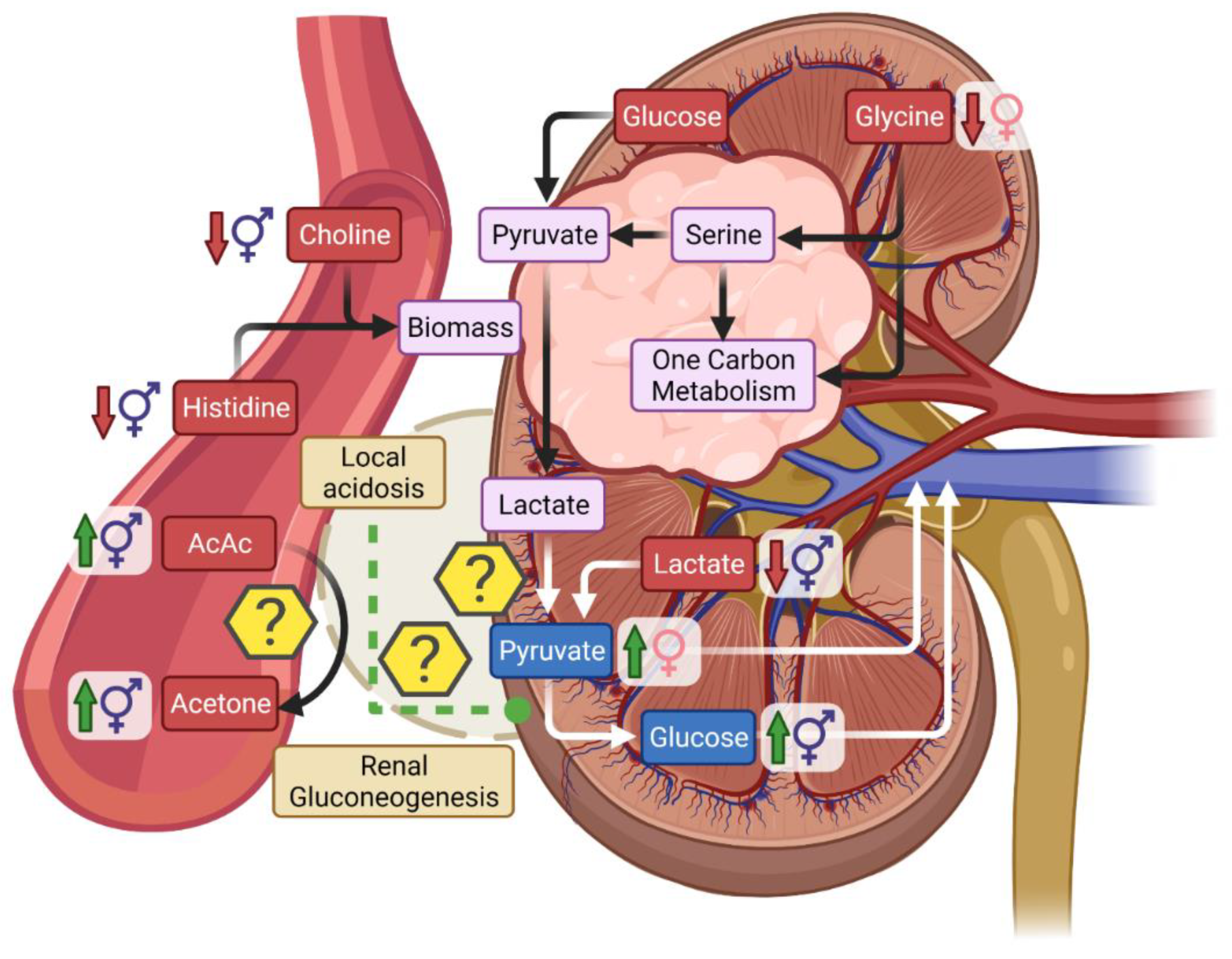 Metabolites 11 00767 g010