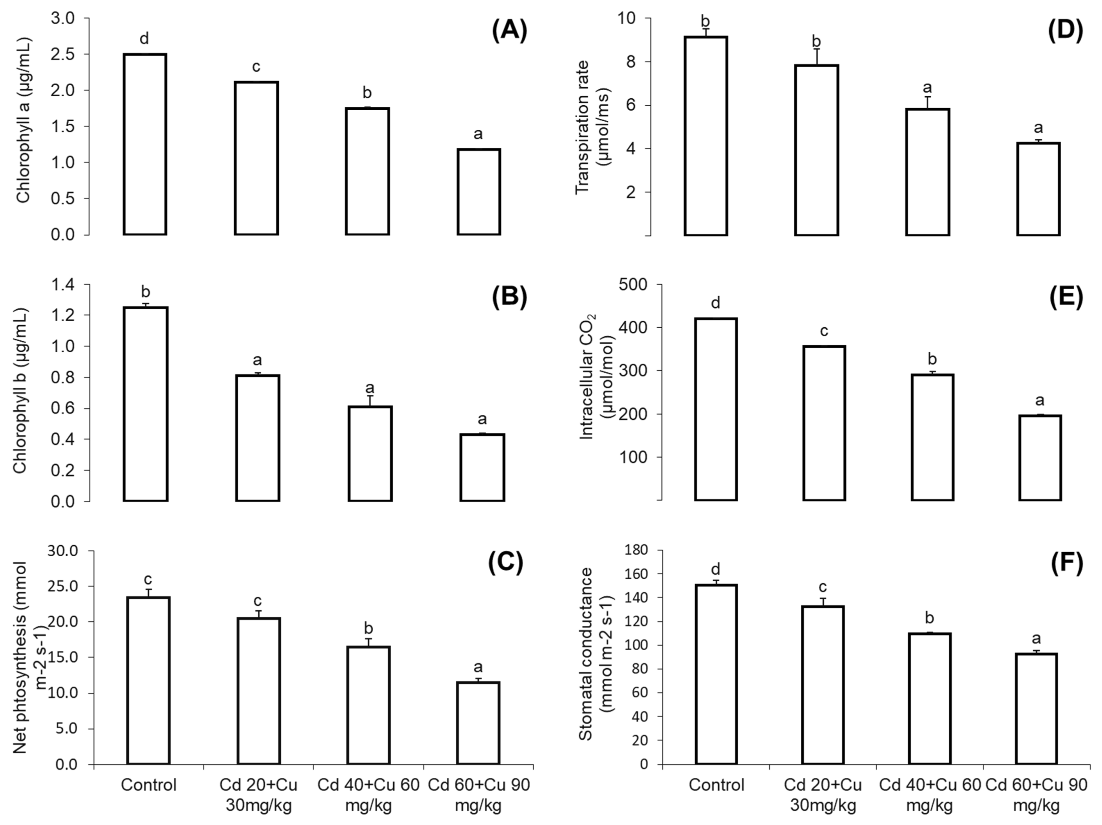 Metabolites 11 00769 g001