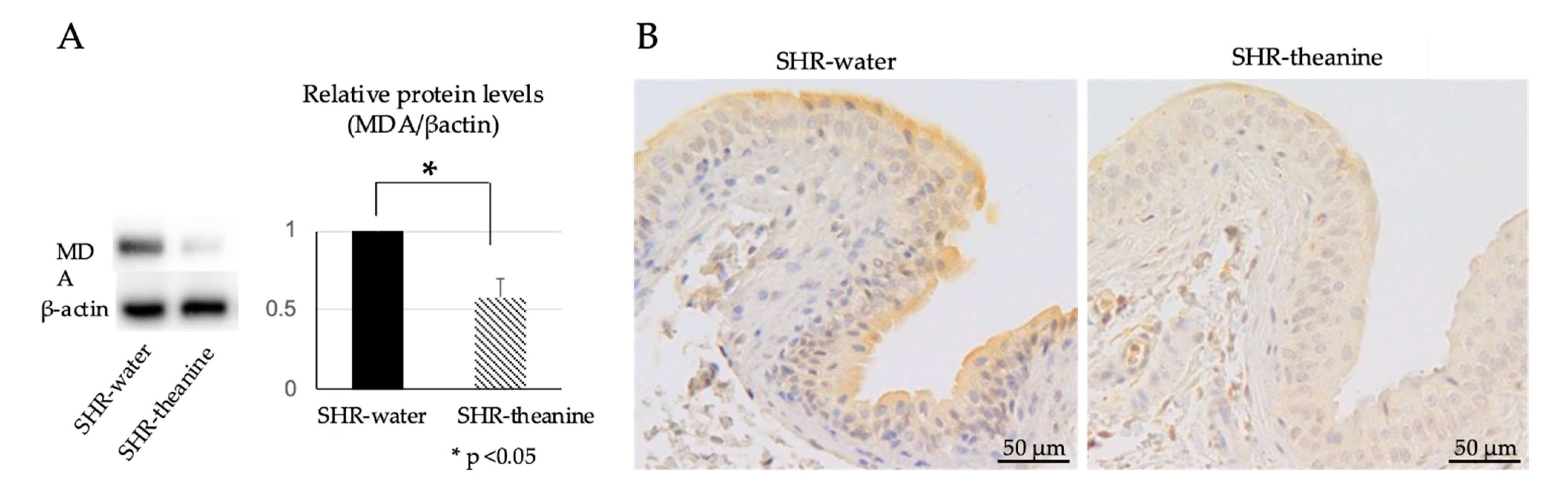 Metabolites 11 00778 g005