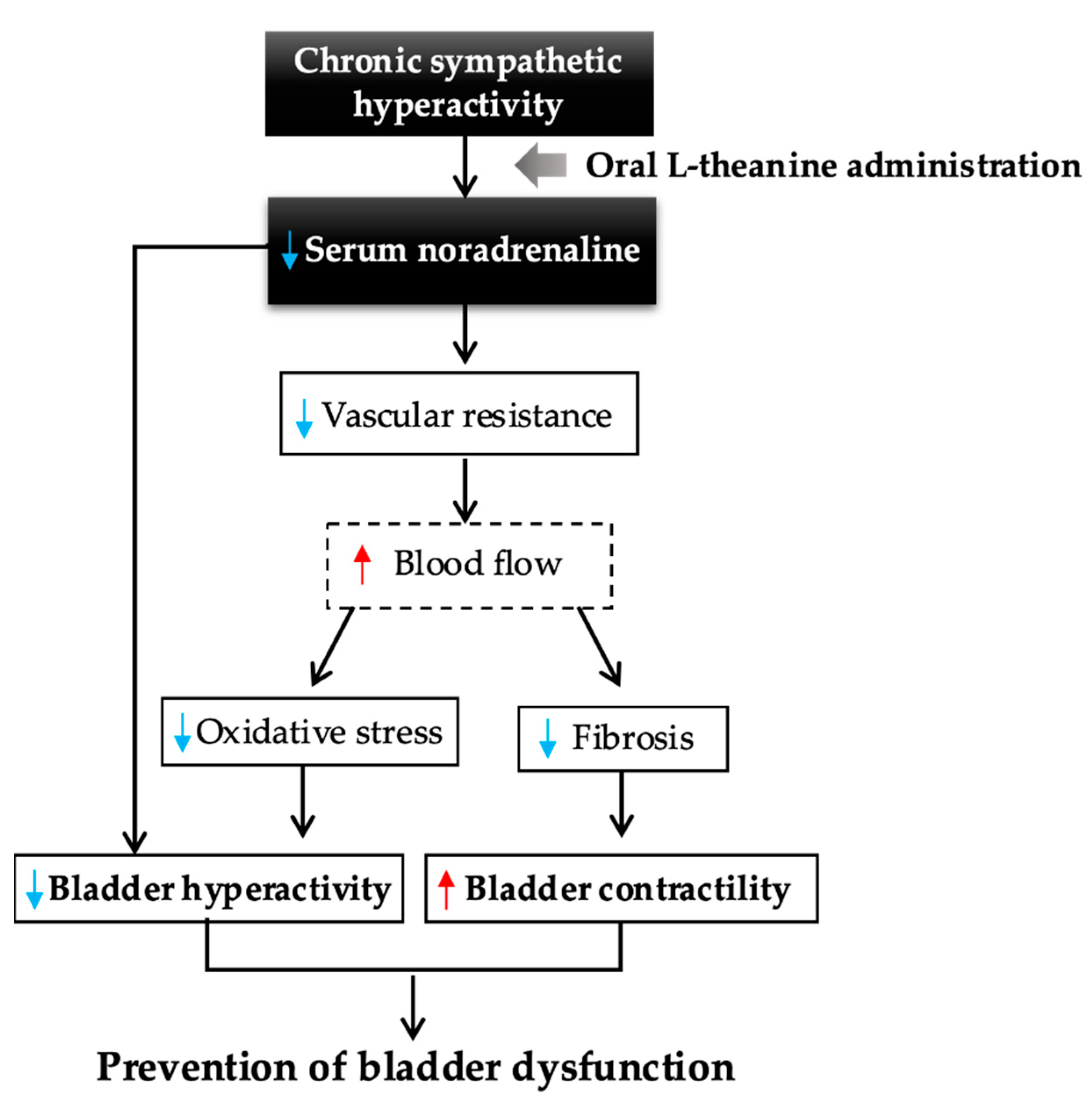 Metabolites 11 00778 g008