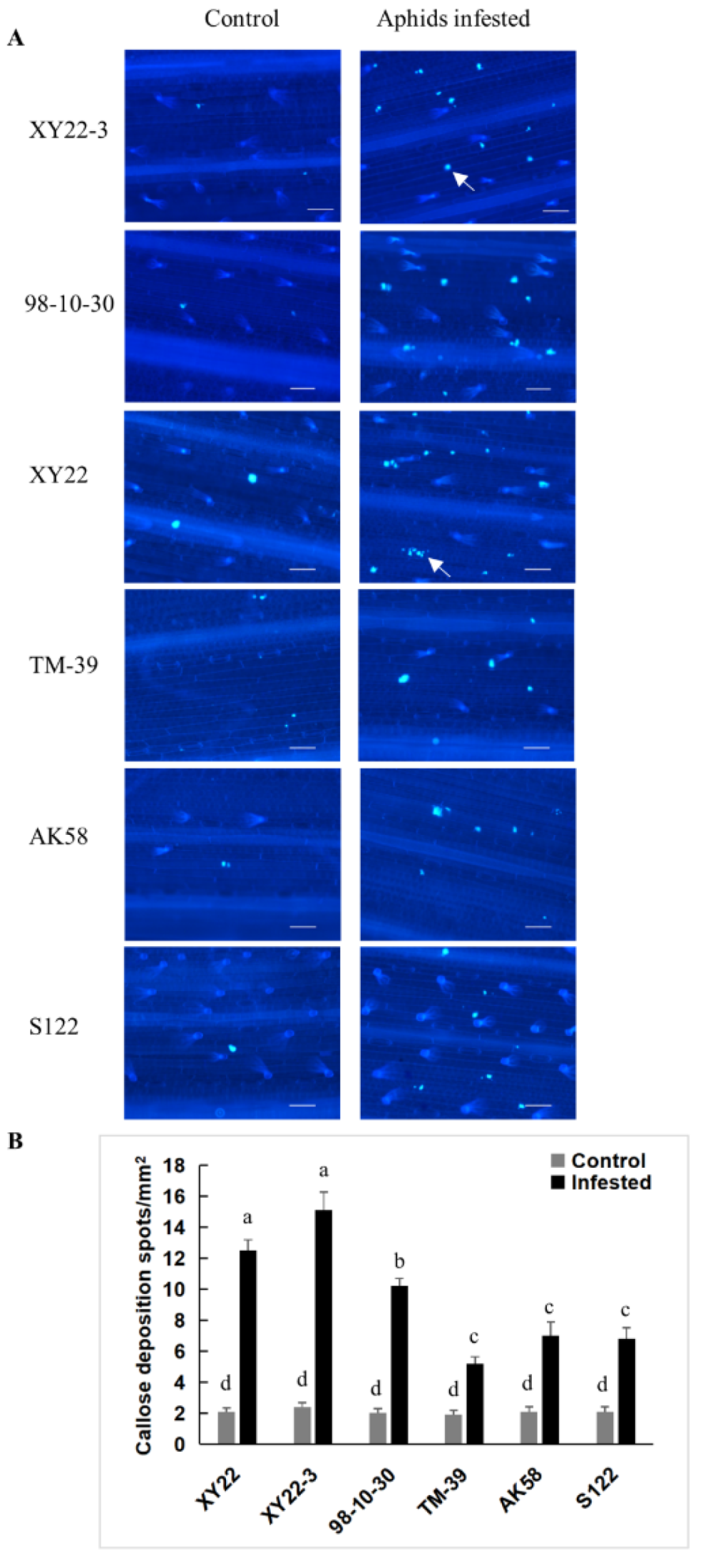 Metabolites 11 00783 g005
