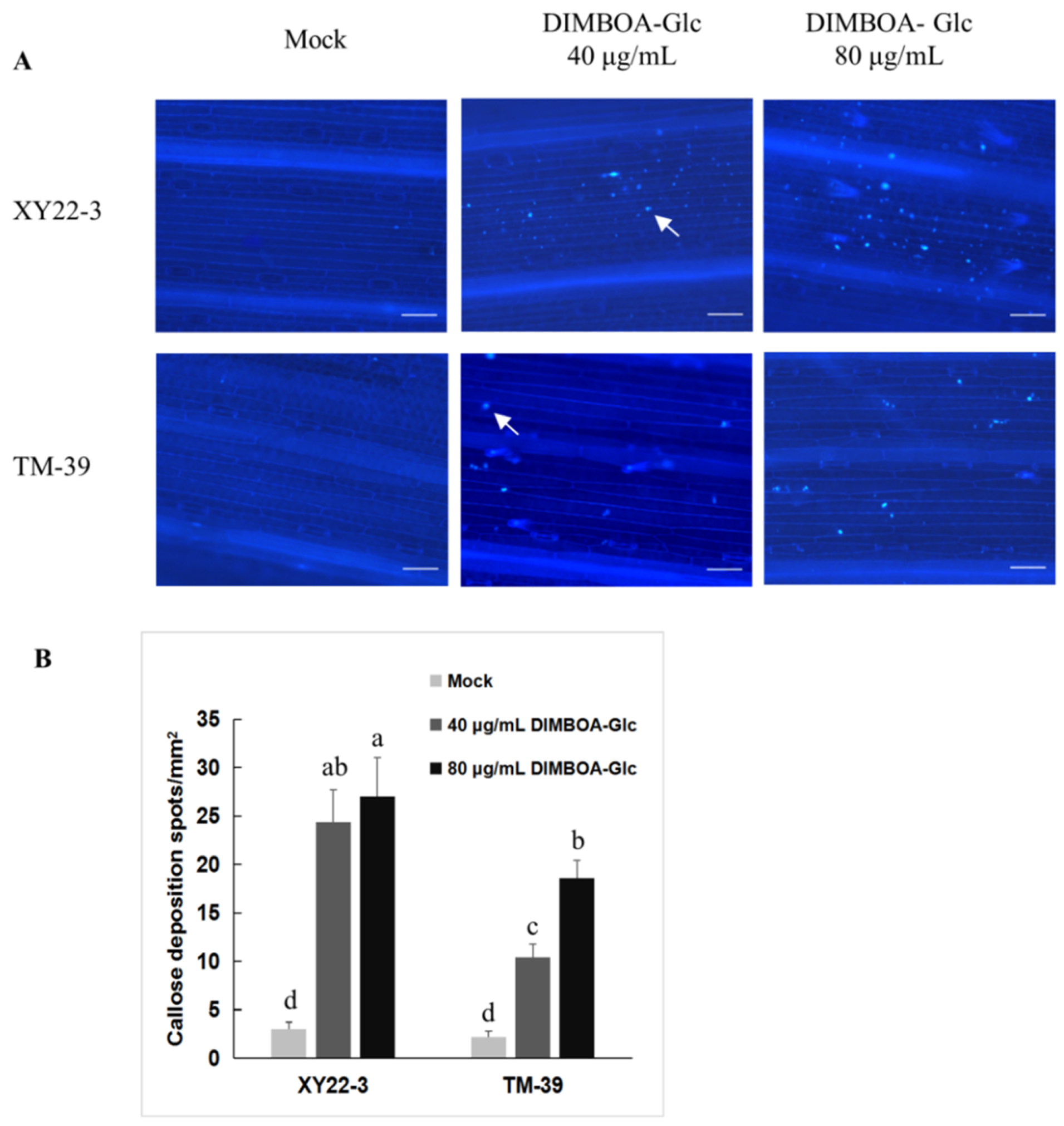 Metabolites 11 00783 g006