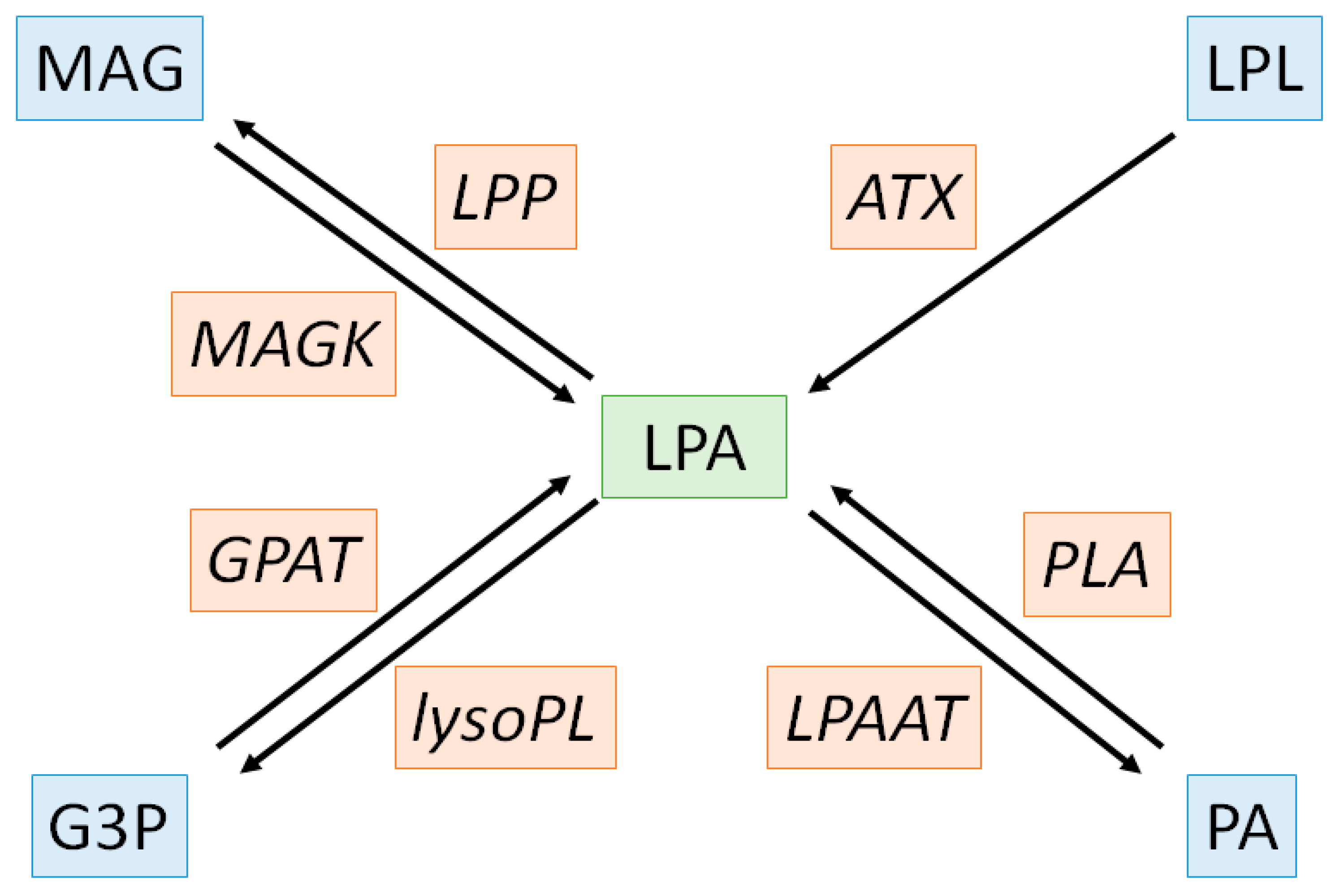 Metabolites 11 00784 g001 Metabolites 11 00784 g001