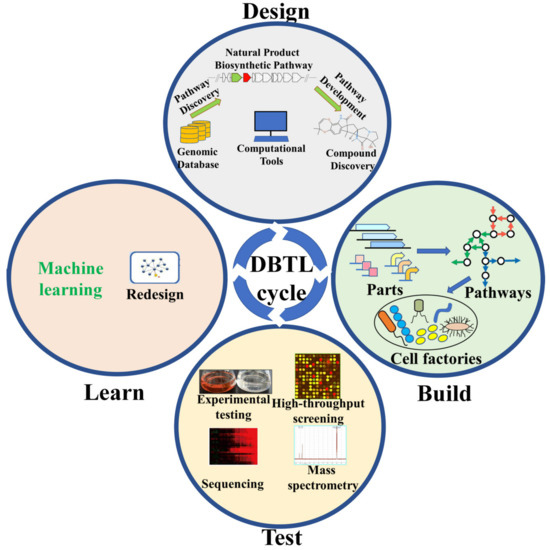 Synthetic Biology Advanced Natural Product Discovery