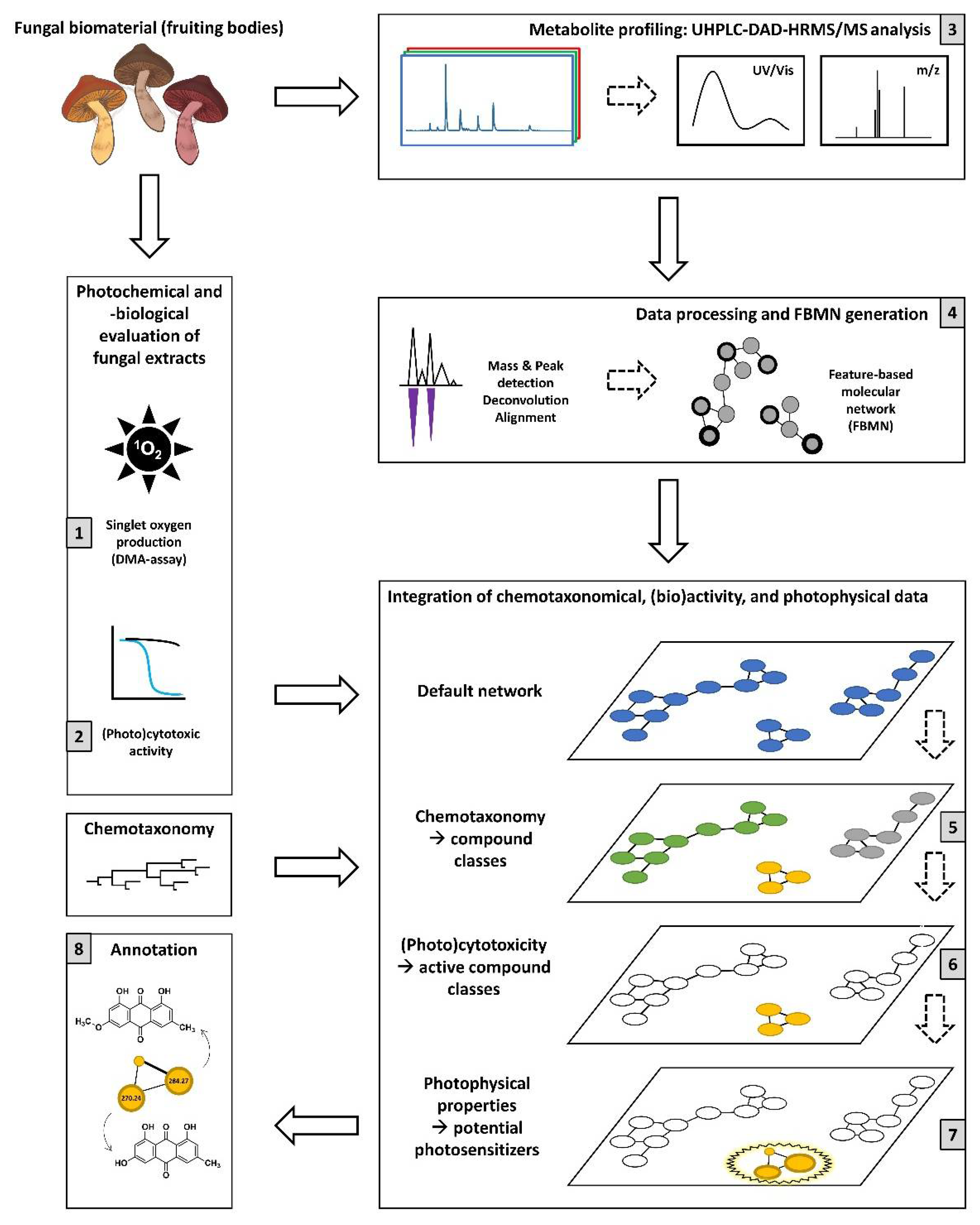 Metabolites 11 00791 g001