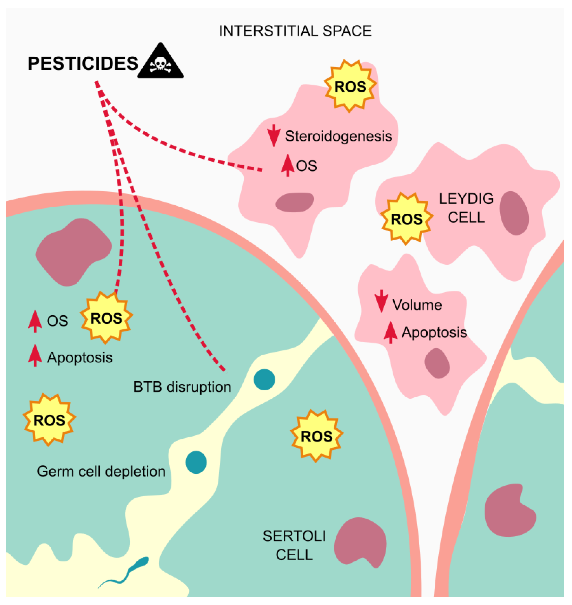 Metabolites 11 00799 g003 Metabolites 11 00799 g003