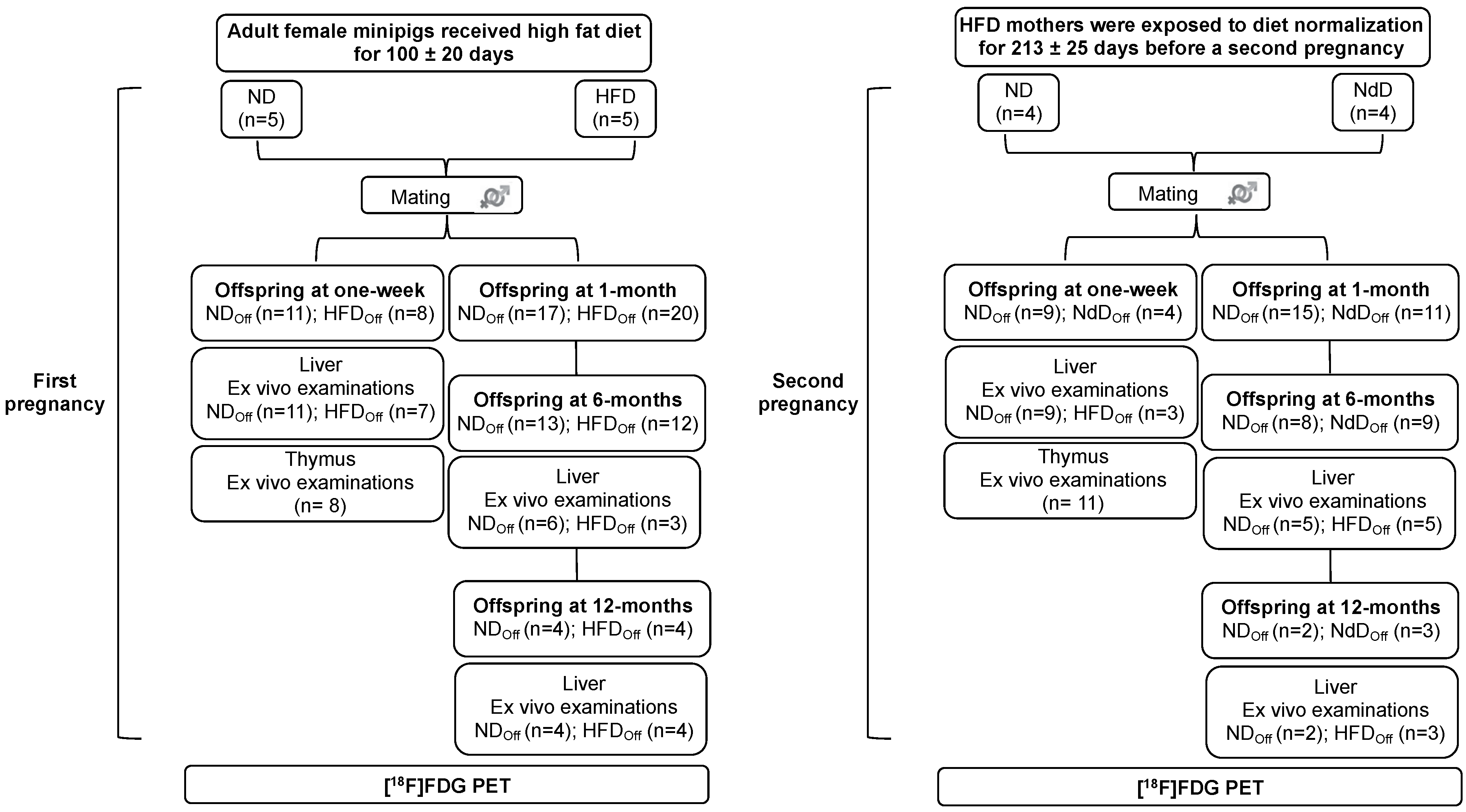 Metabolites 11 00800 g001 Metabolites 11 00800 g001