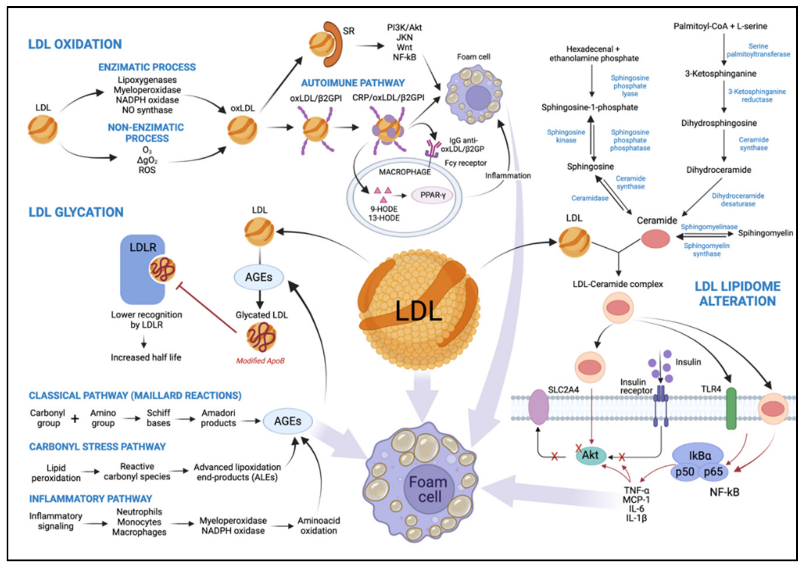 Metabolites 11 00807 g002 Metabolites 11 00807 g002