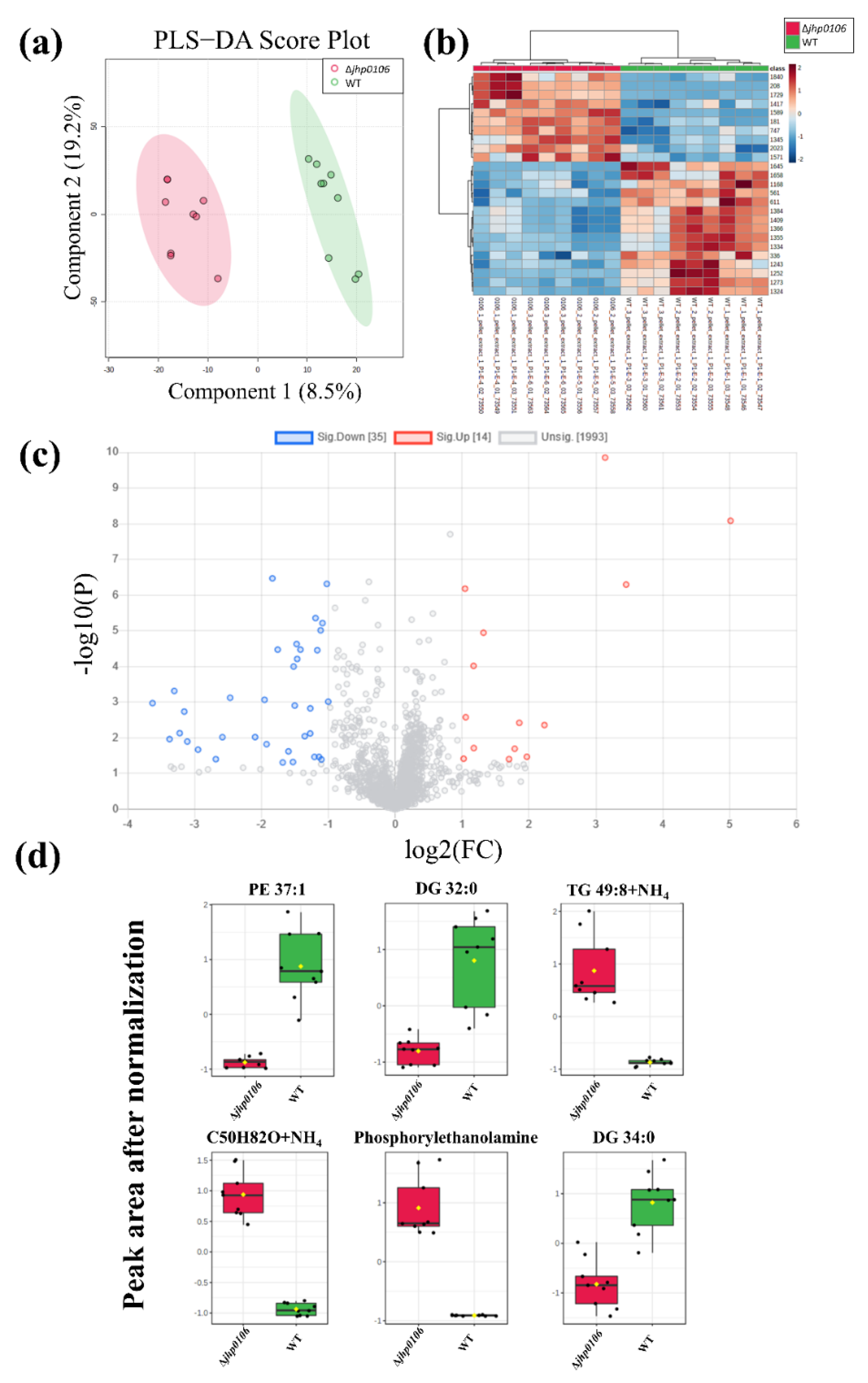 Metabolites 11 00808 g003
