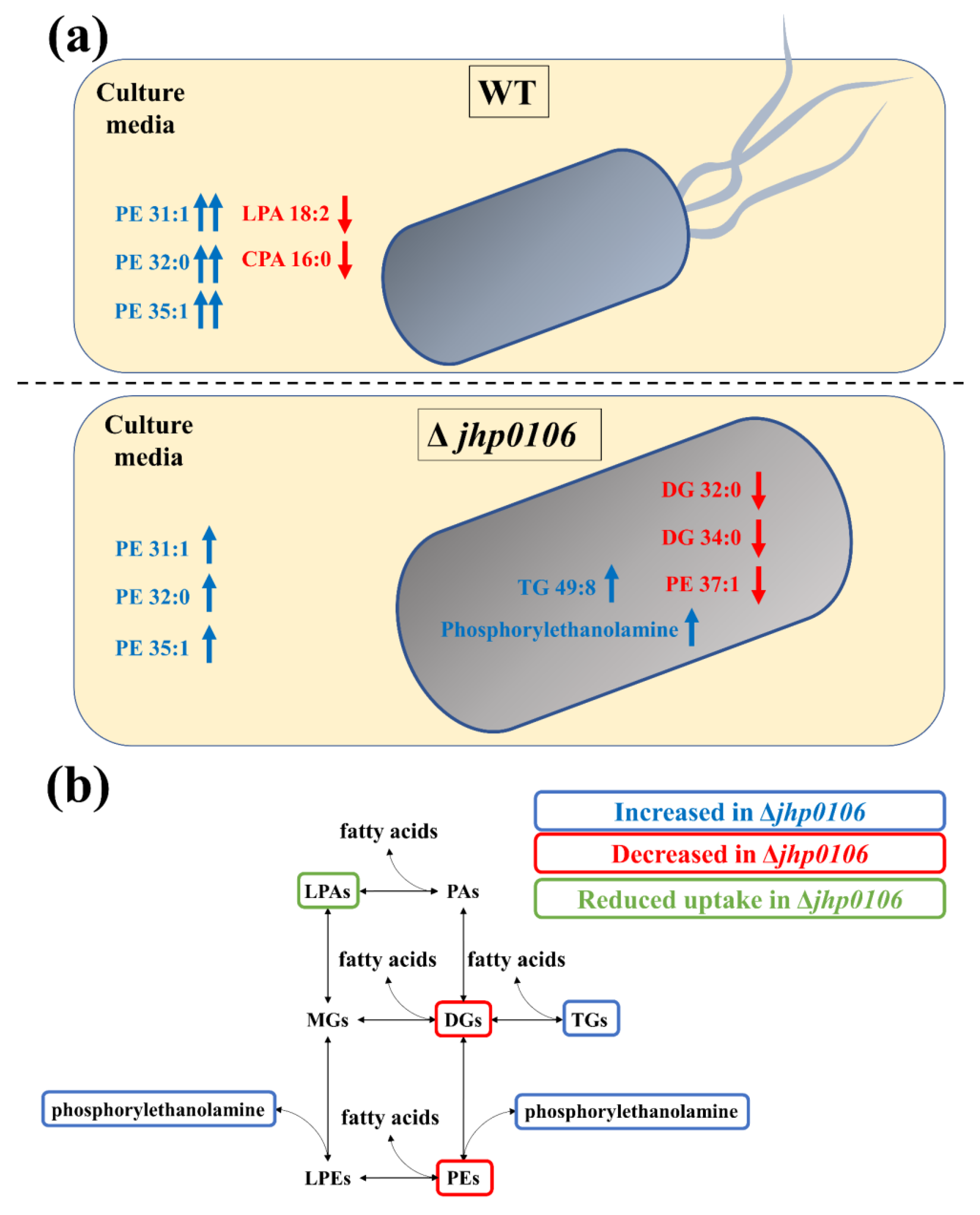 Metabolites 11 00808 g004