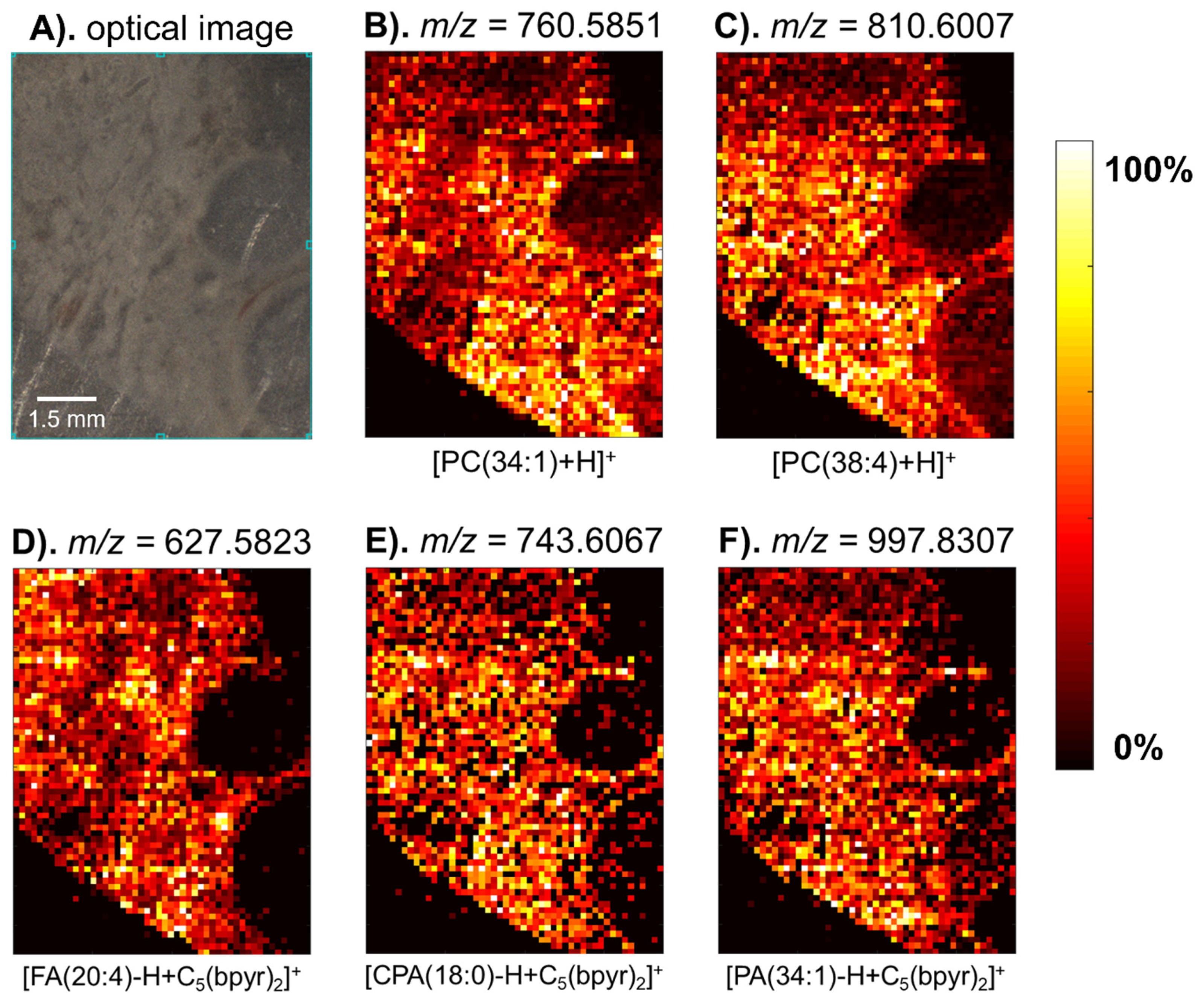 Metabolites 11 00810 g005