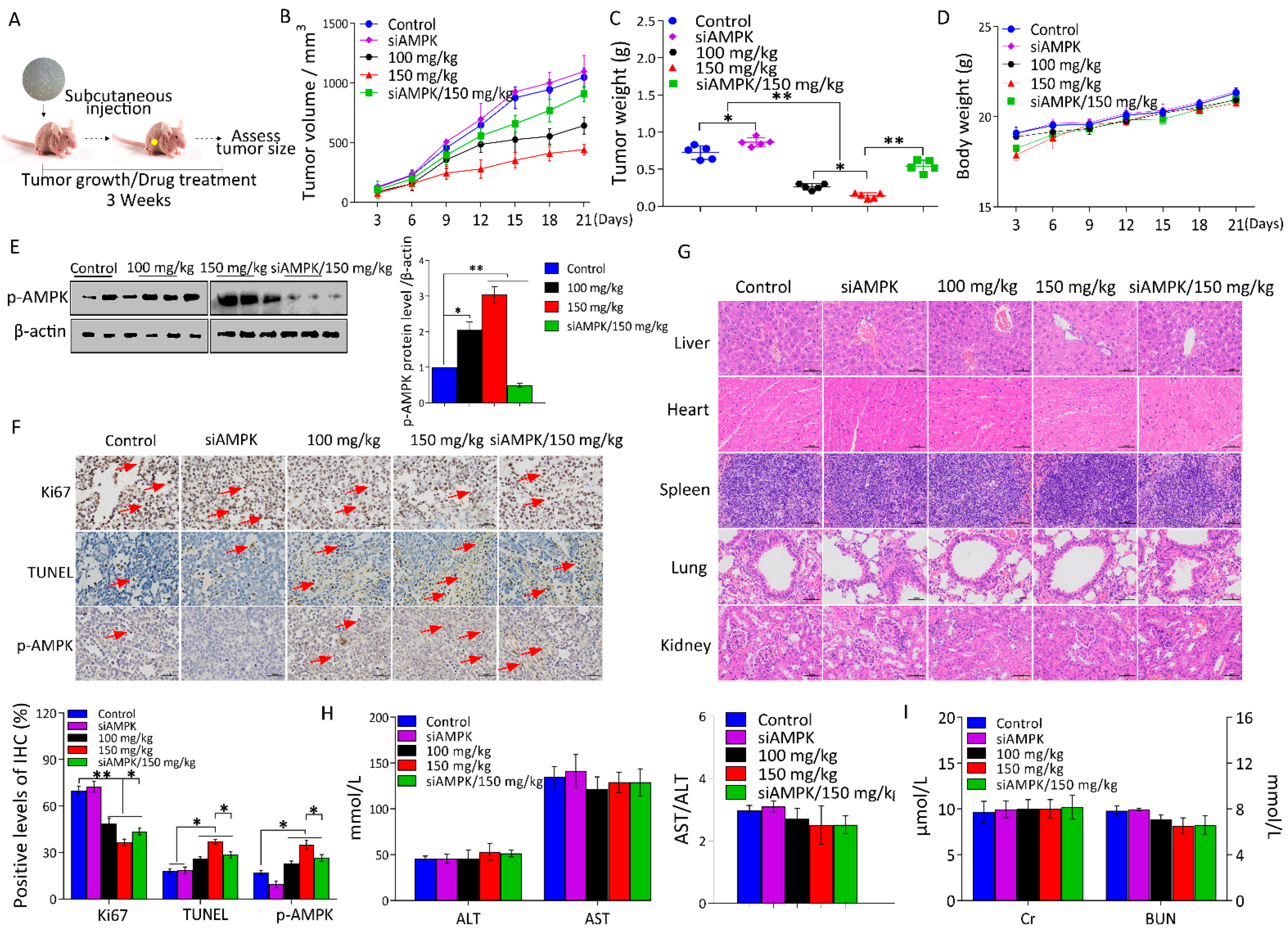 Metabolites 11 00811 g005