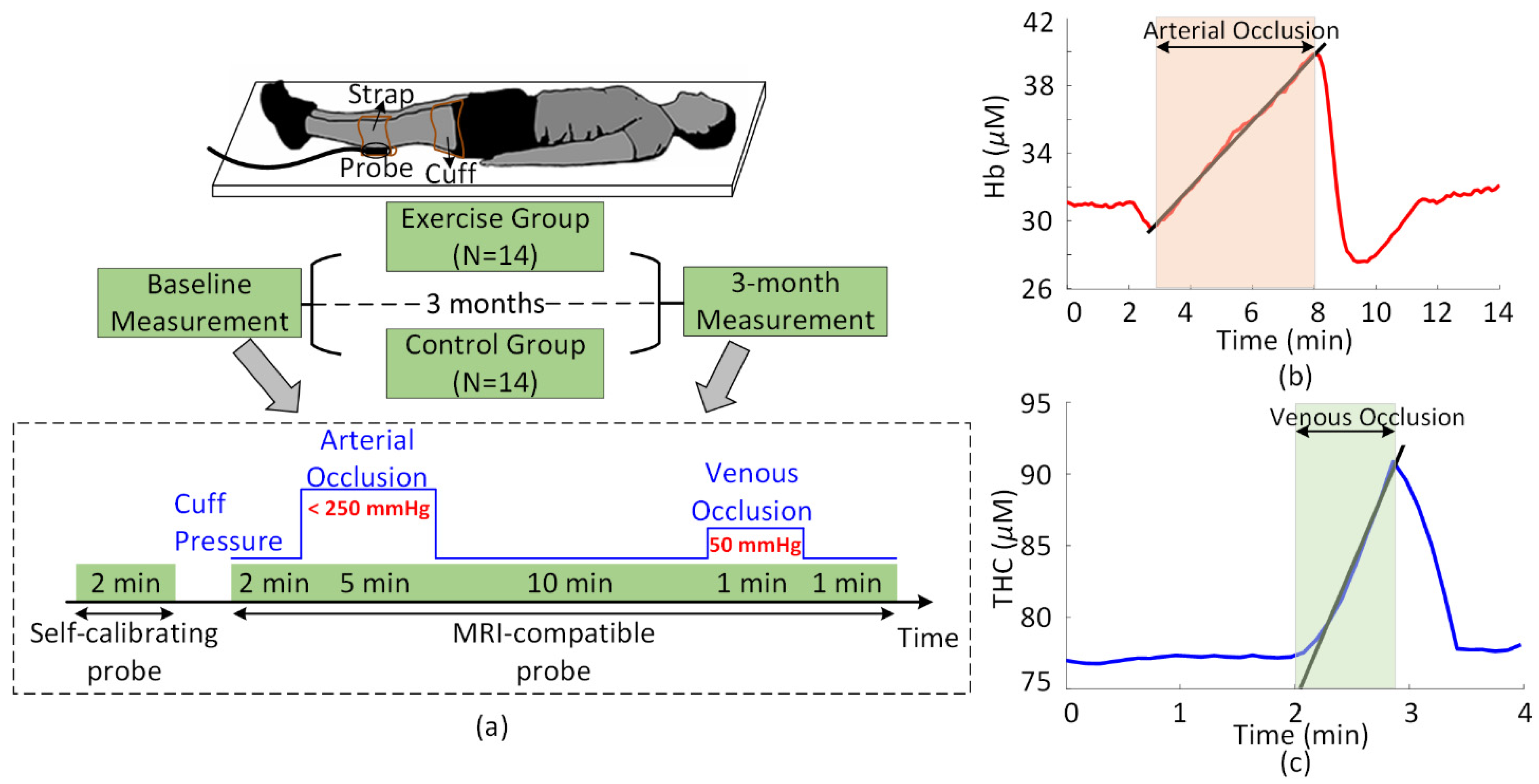 Metabolites 11 00814 g003 Metabolites 11 00814 g003
