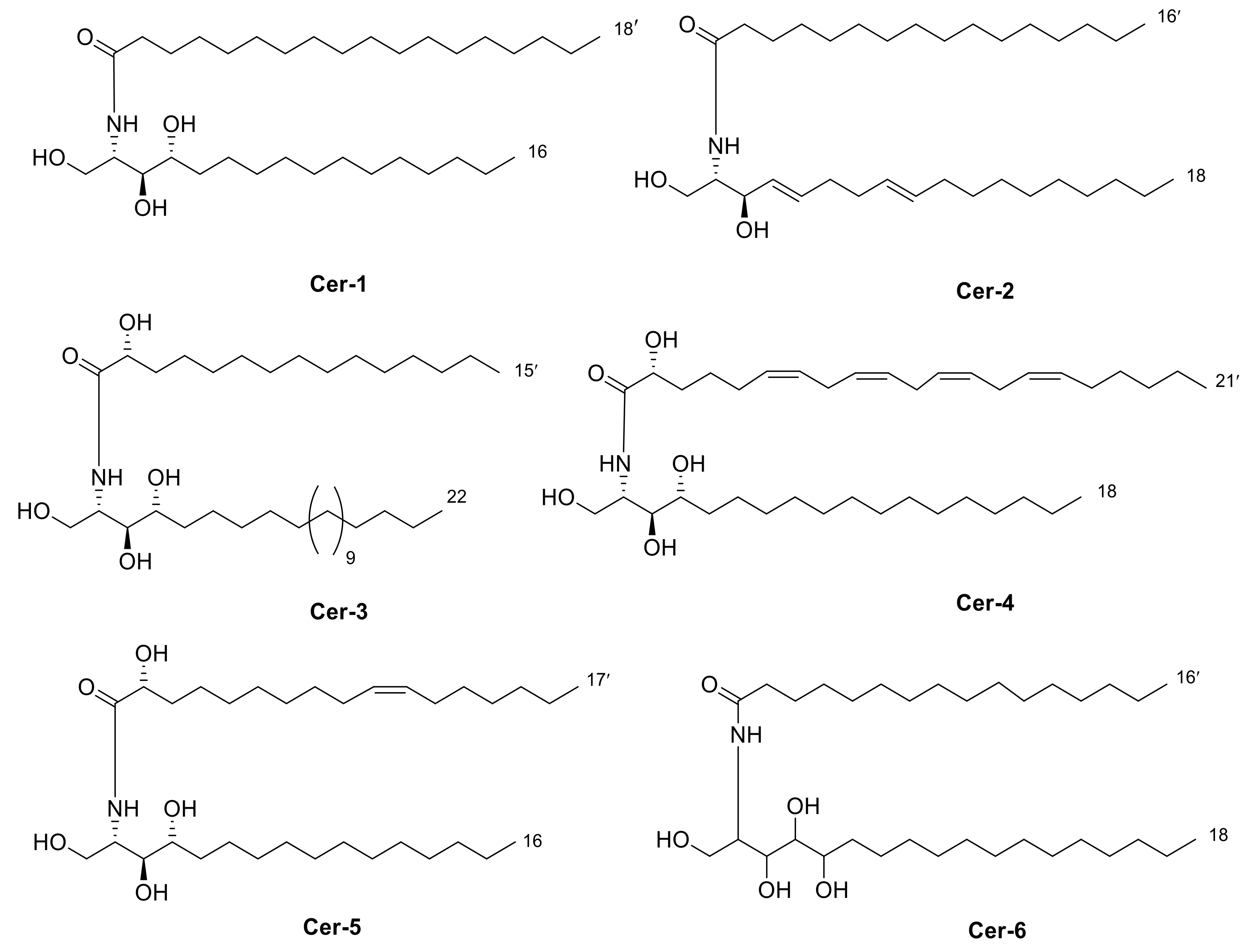 Metabolites 11 00816 g001