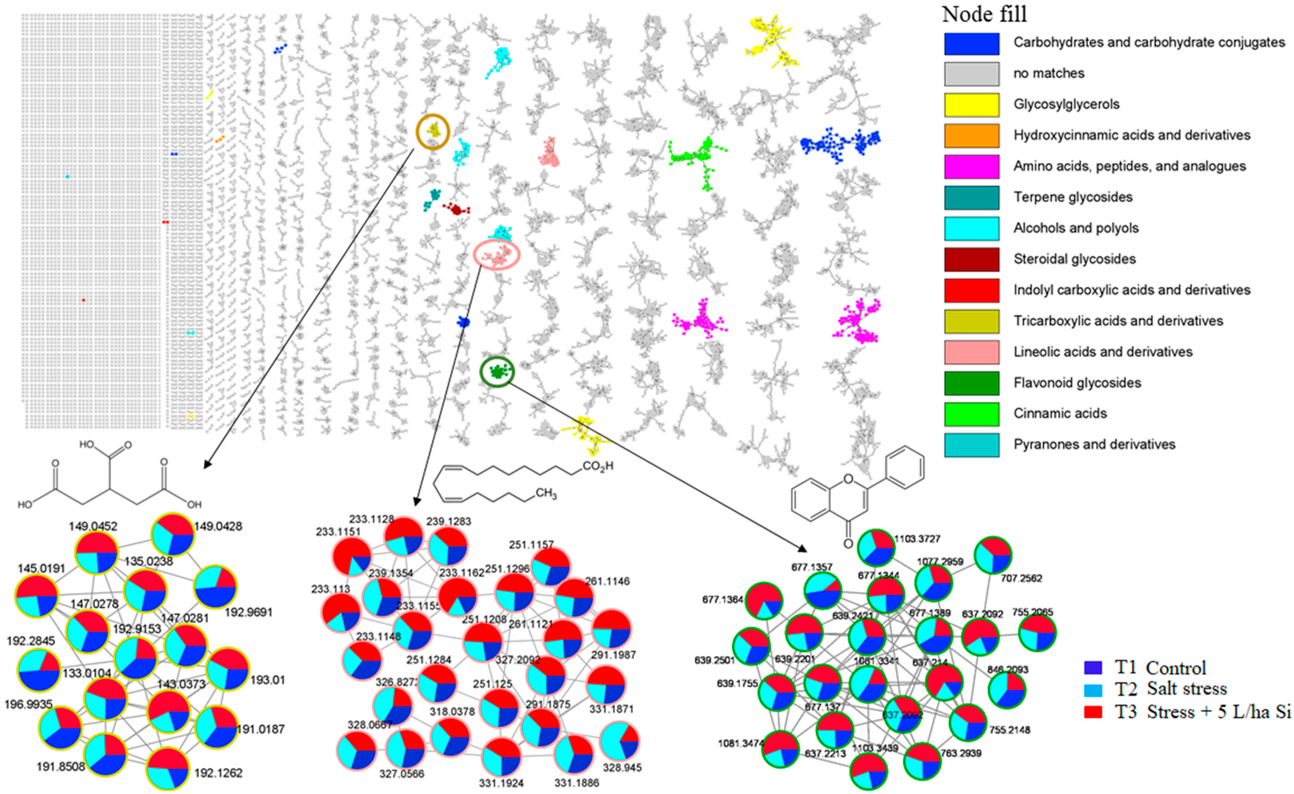 Metabolites 11 00820 g001