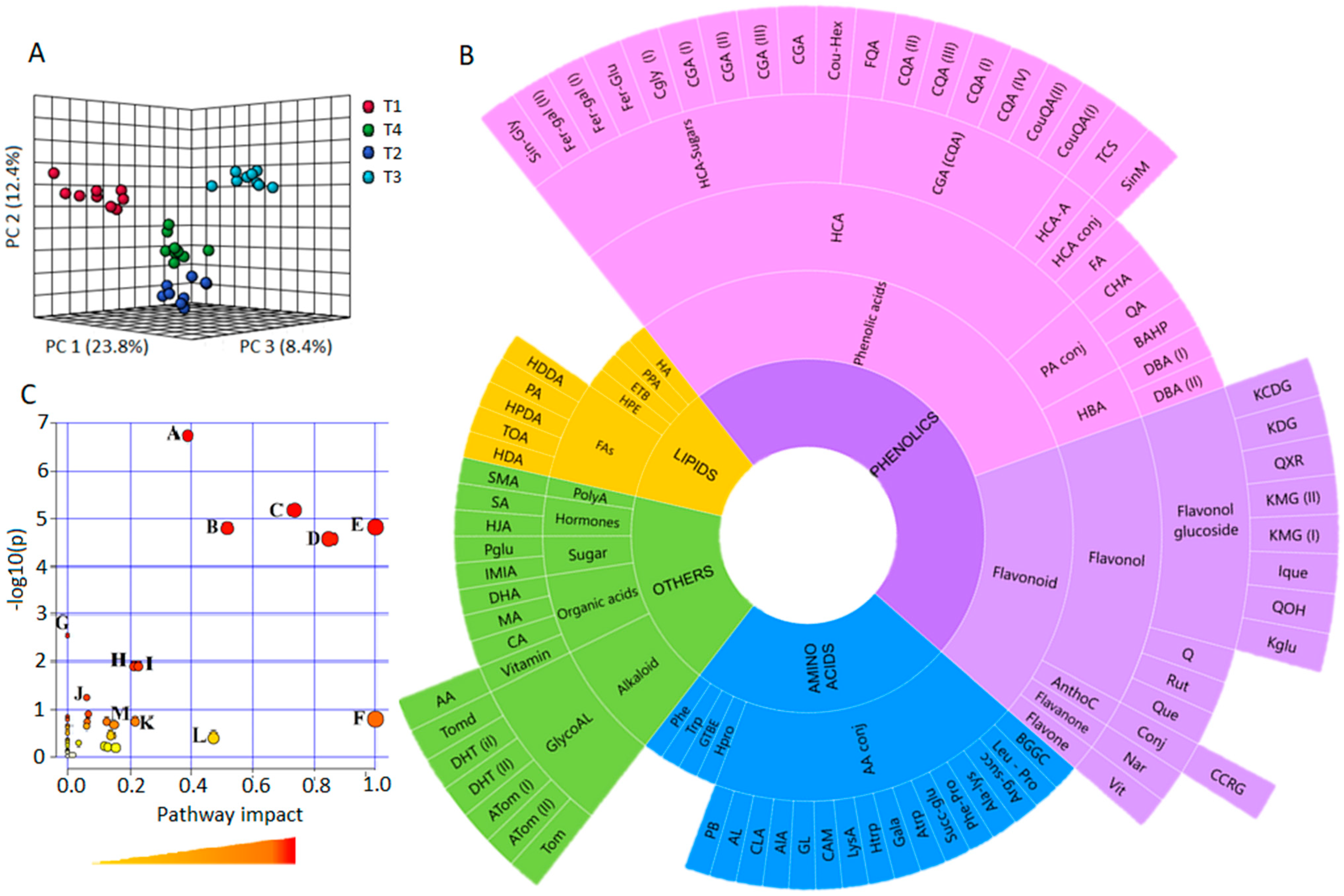 Metabolites 11 00820 g002