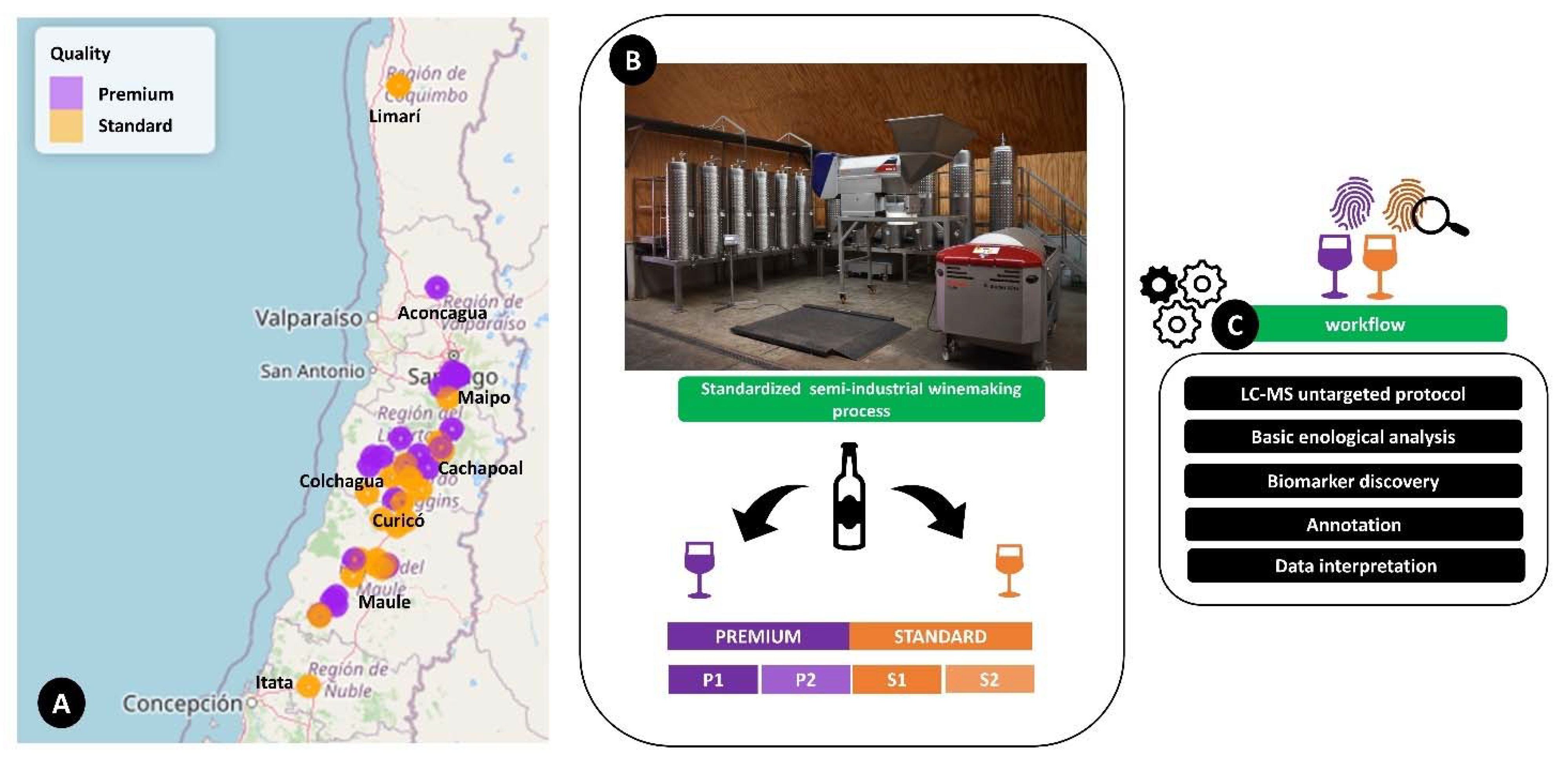Metabolites 11 00829 g001