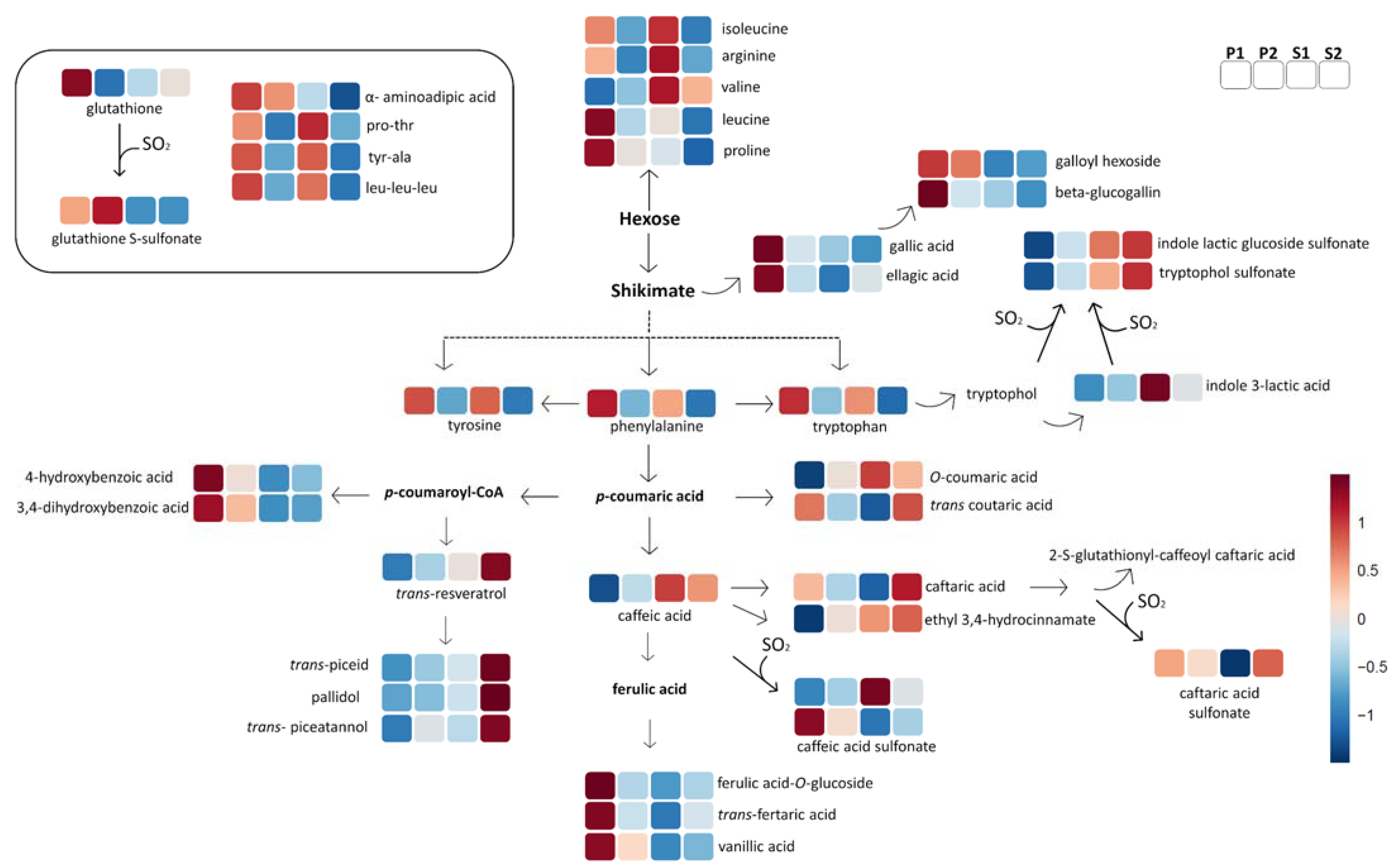 Metabolites 11 00829 g004