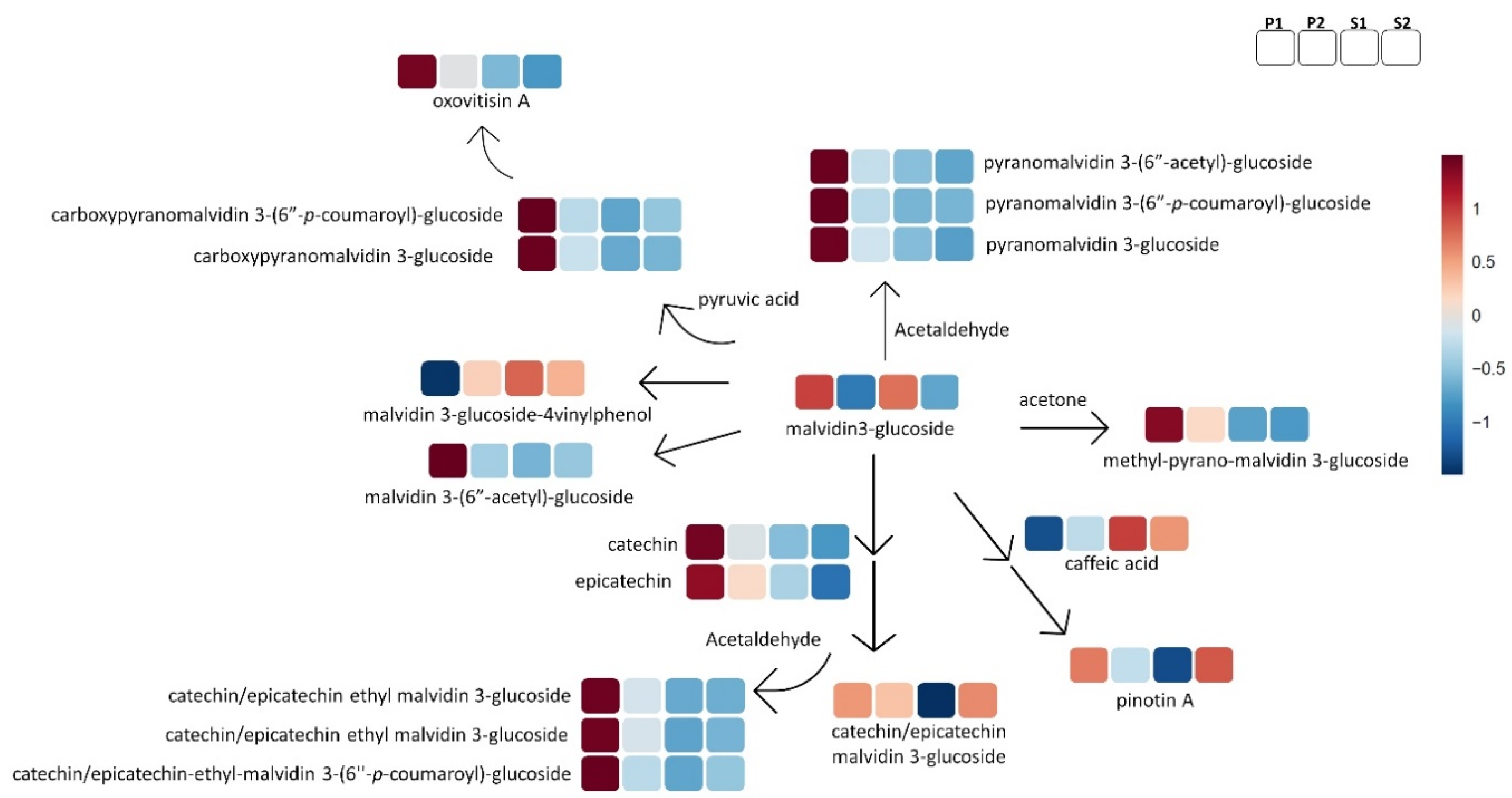 Metabolites 11 00829 g006