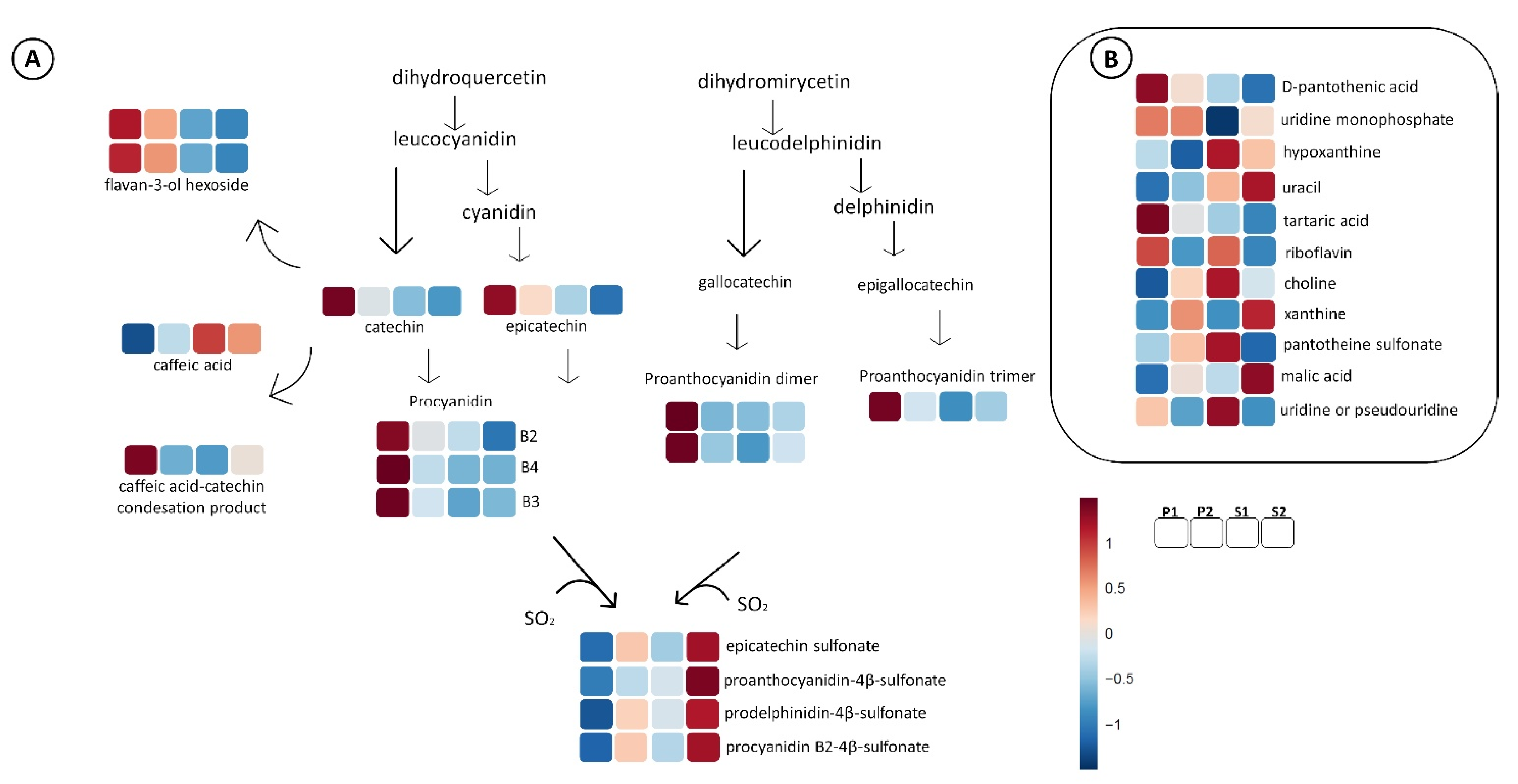 Metabolites 11 00829 g007