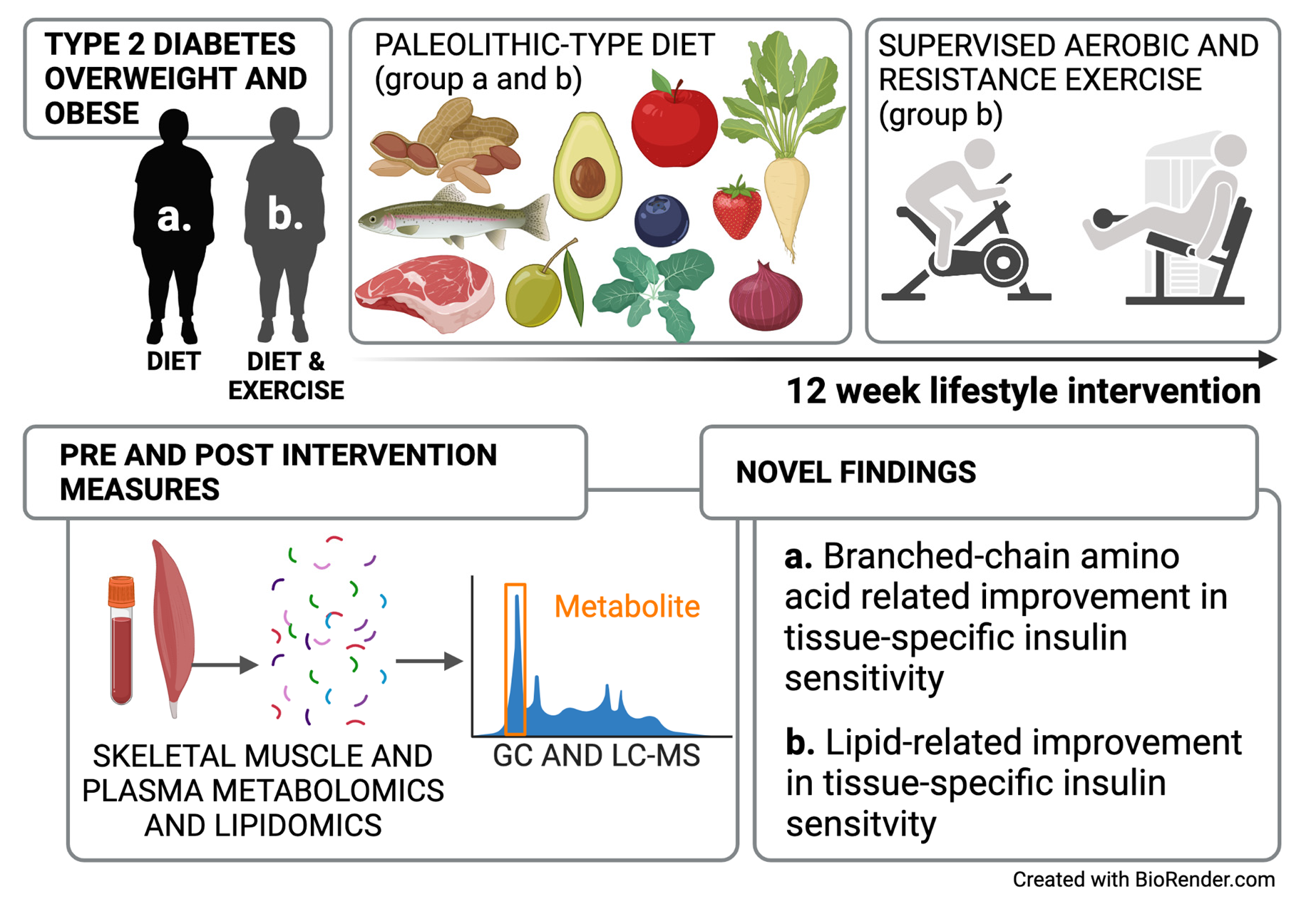 Image result for Metabolites | Free Full-Text | Improved Peripheral and Hepatic Insulin ...