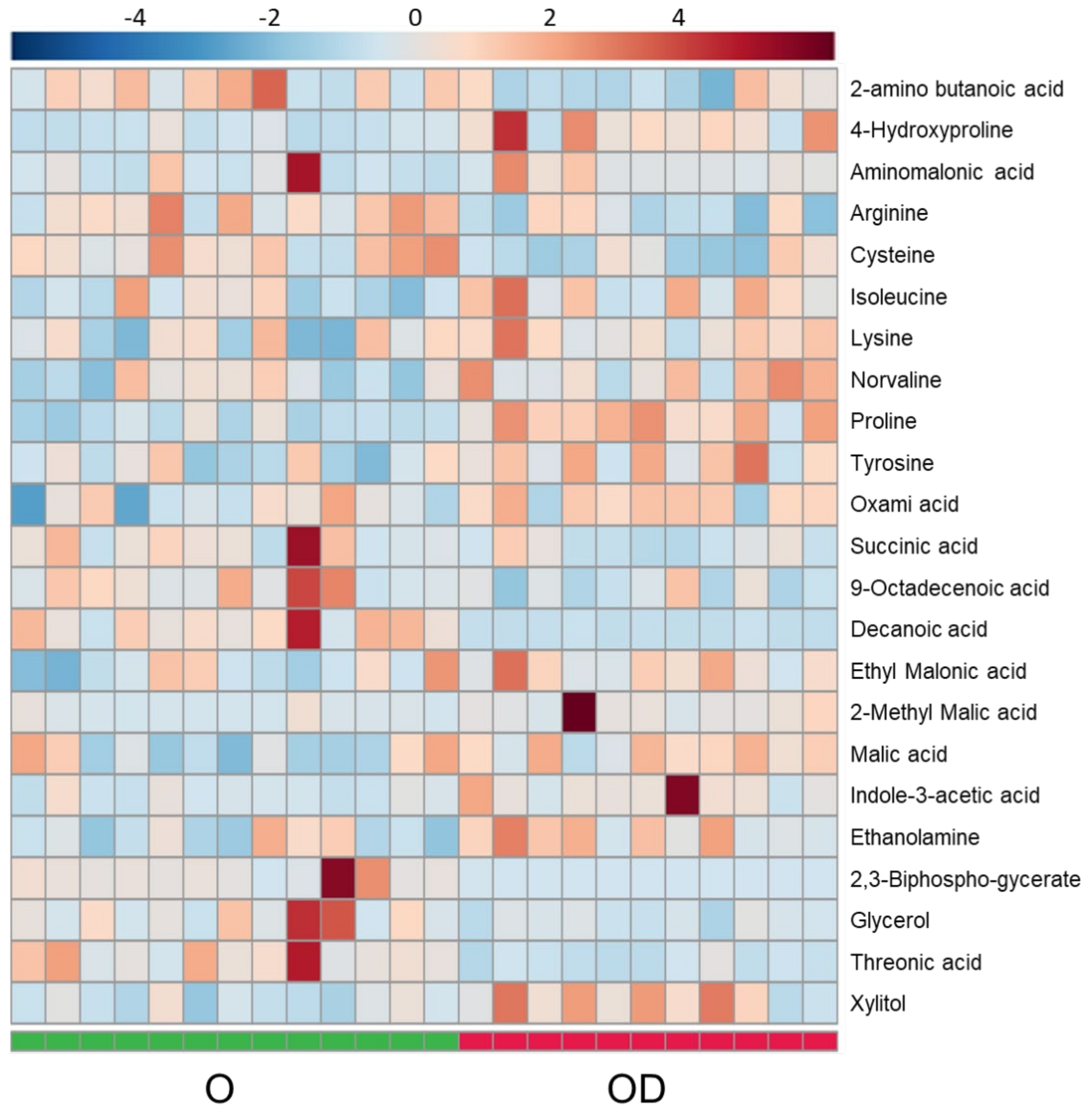 Metabolites 11 00836 g004 550
