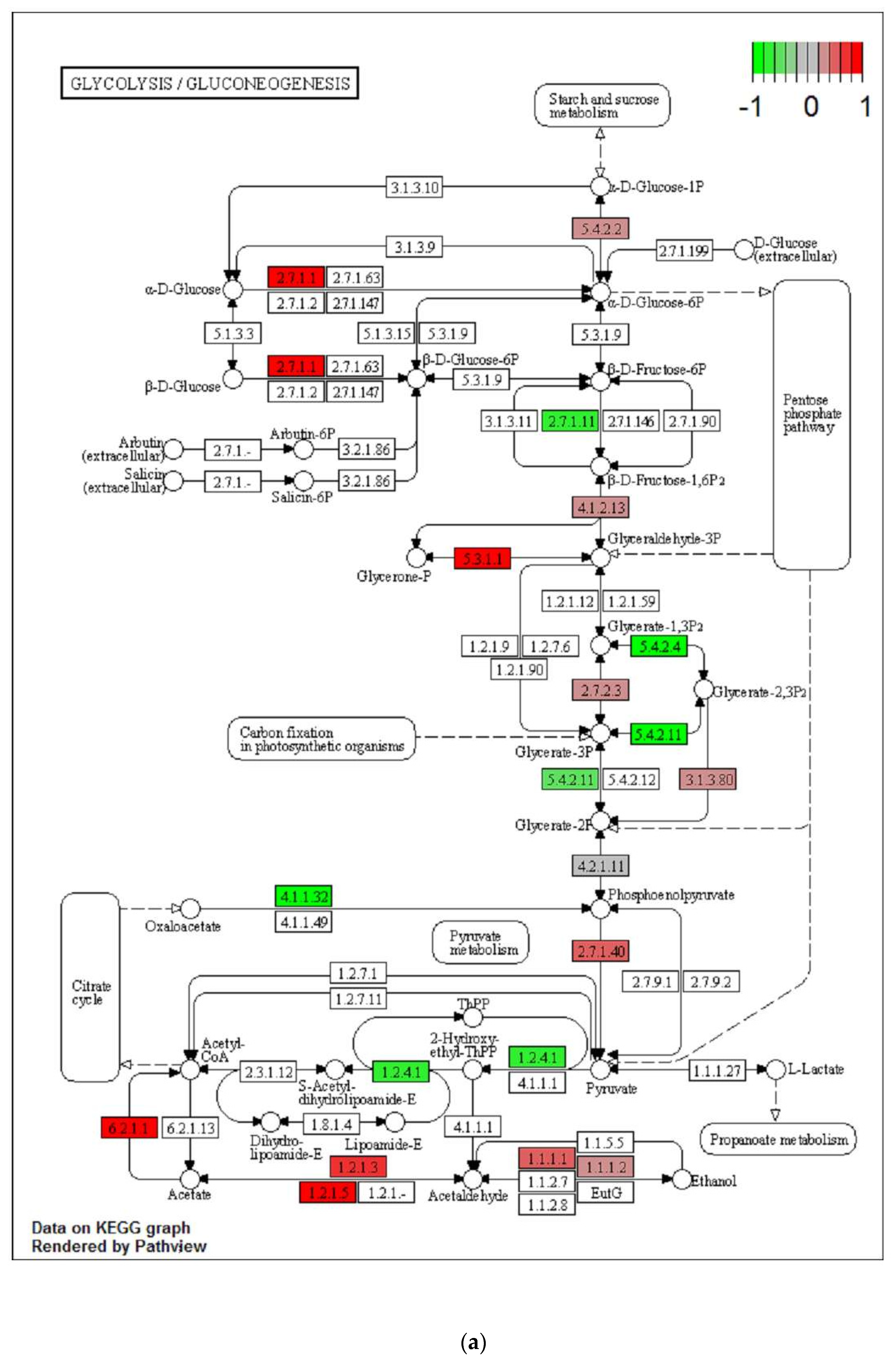 Metabolites 11 00838 g005a