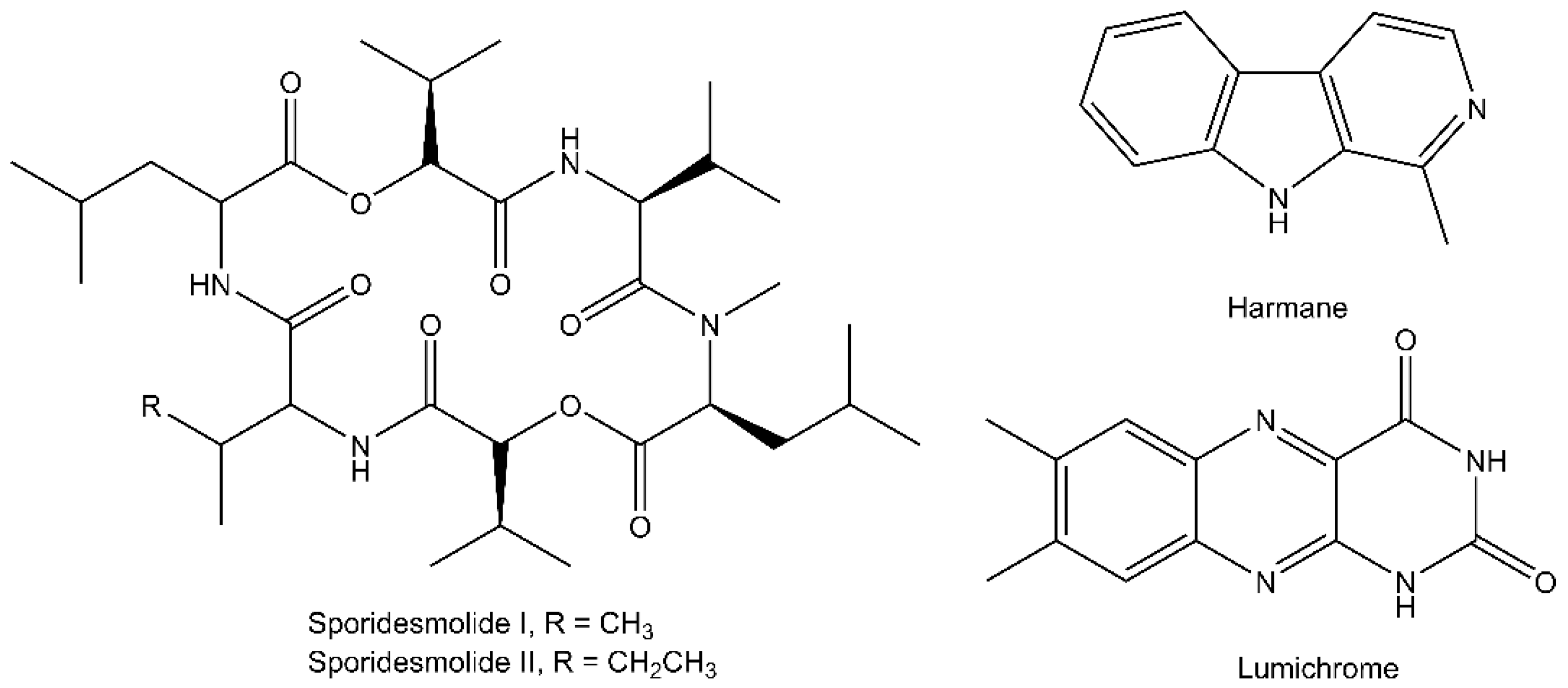 Metabolites 11 00839 g002