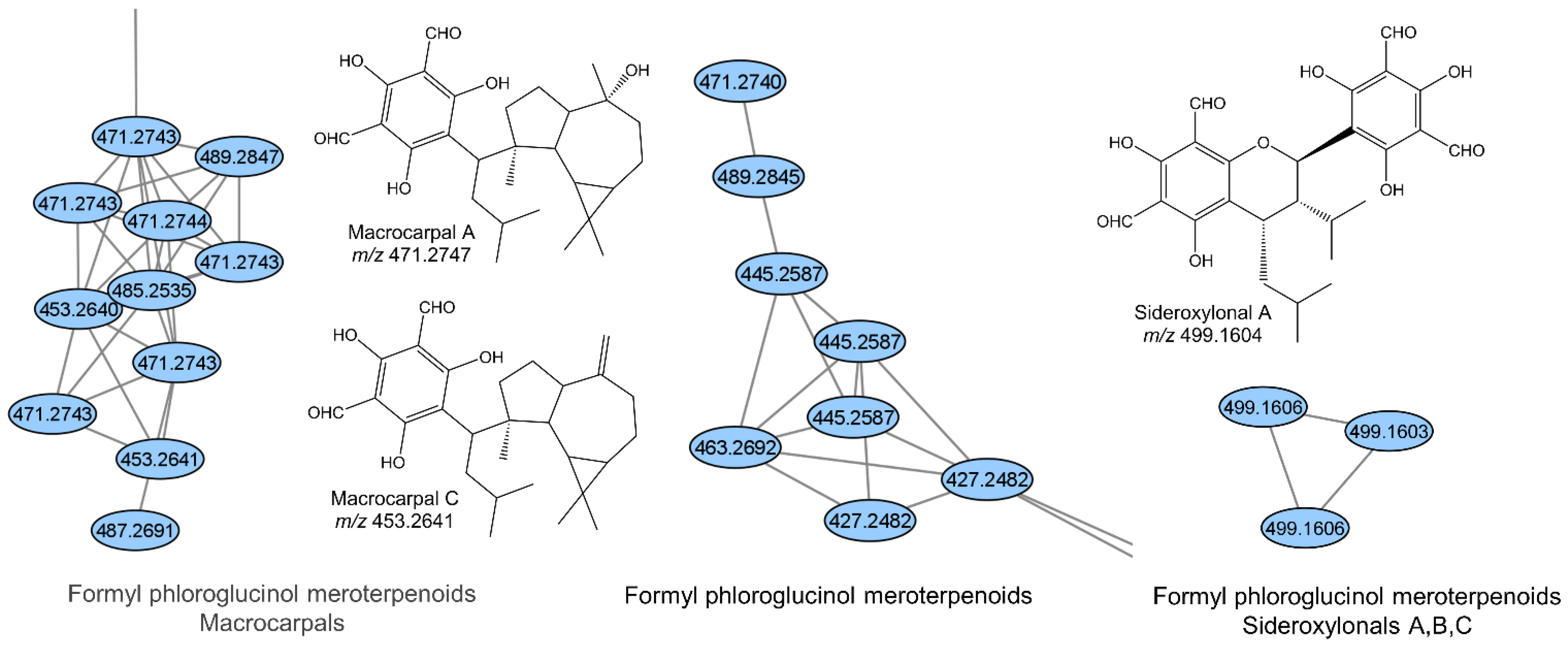 Metabolites 11 00839 g004