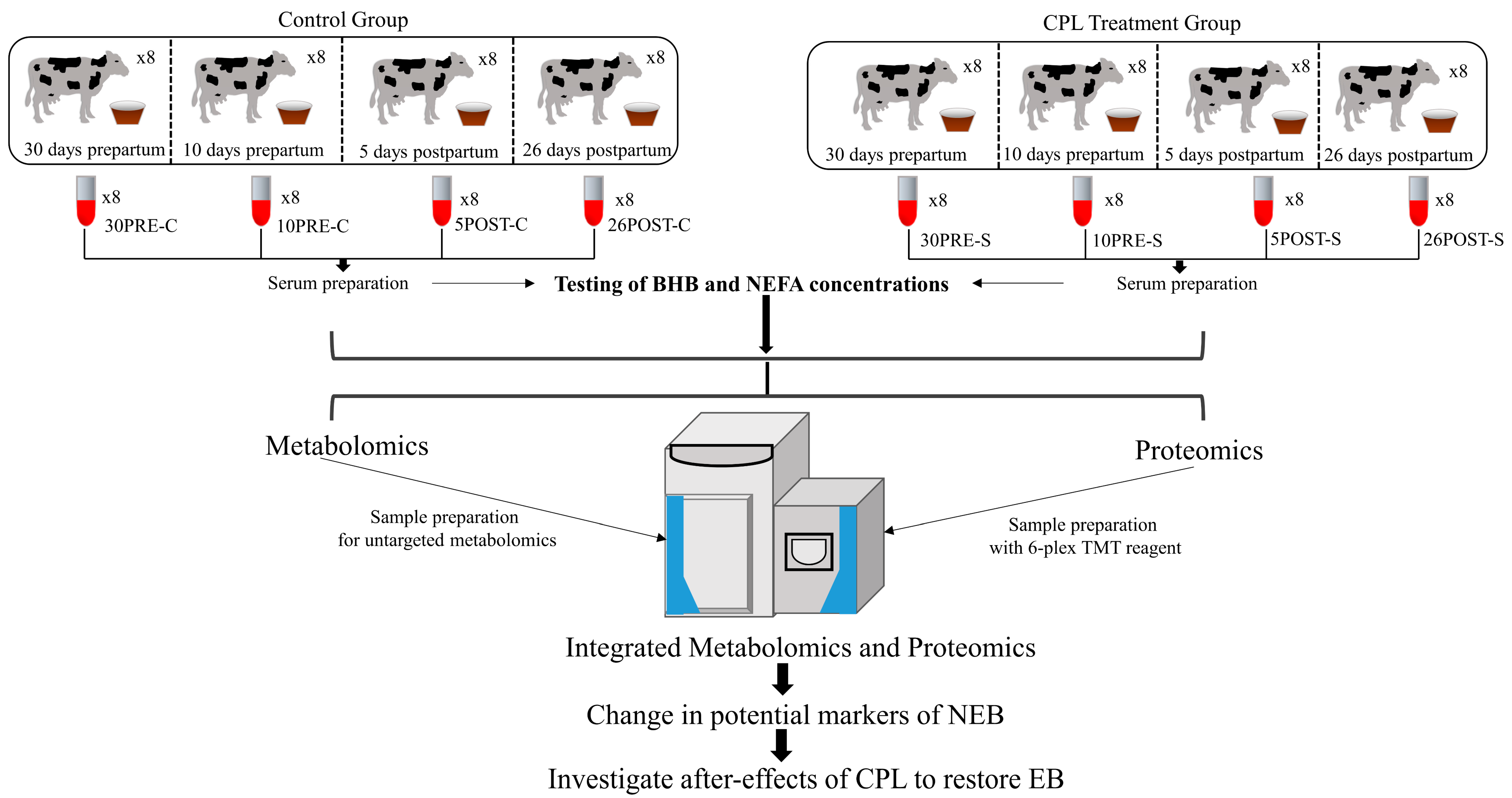 Metabolites 11 00842 g001